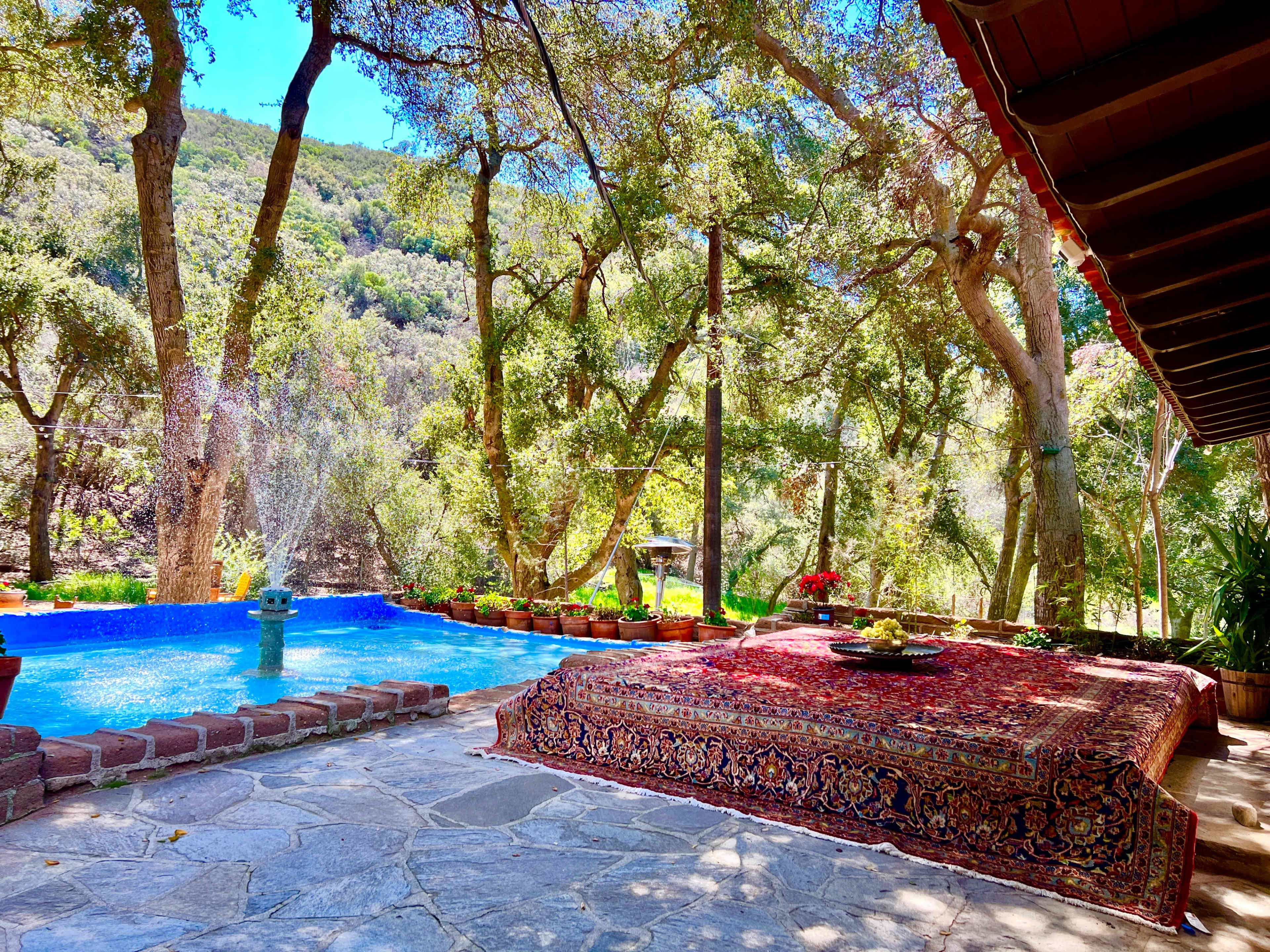 A serene outdoor space featuring a swimming pool surrounded by trees and decorated with a patterned rug and potted plants.