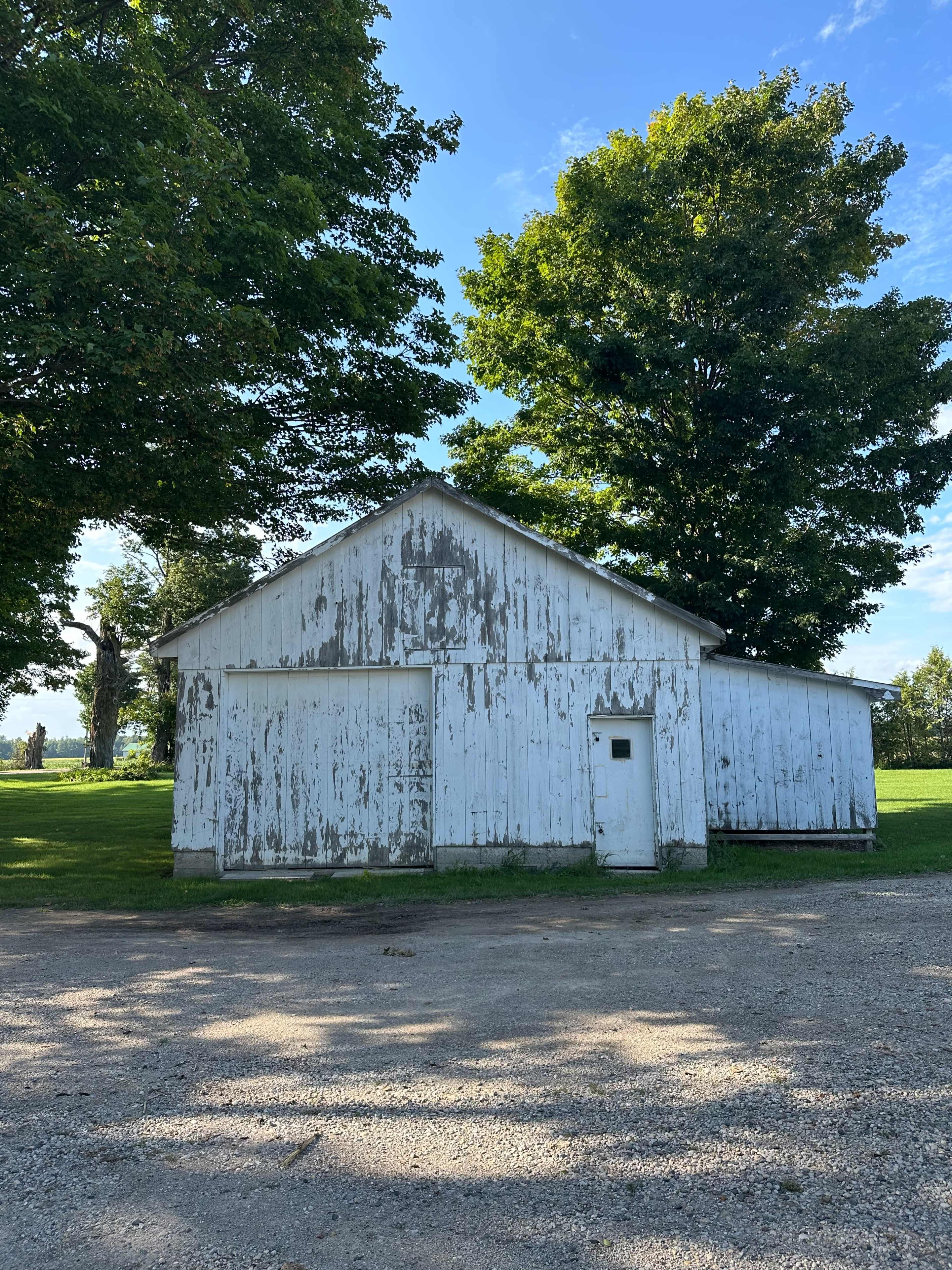 A weathered white barn stands next to a gravel pathway, surrounded by lush green trees under a clear blue sky.