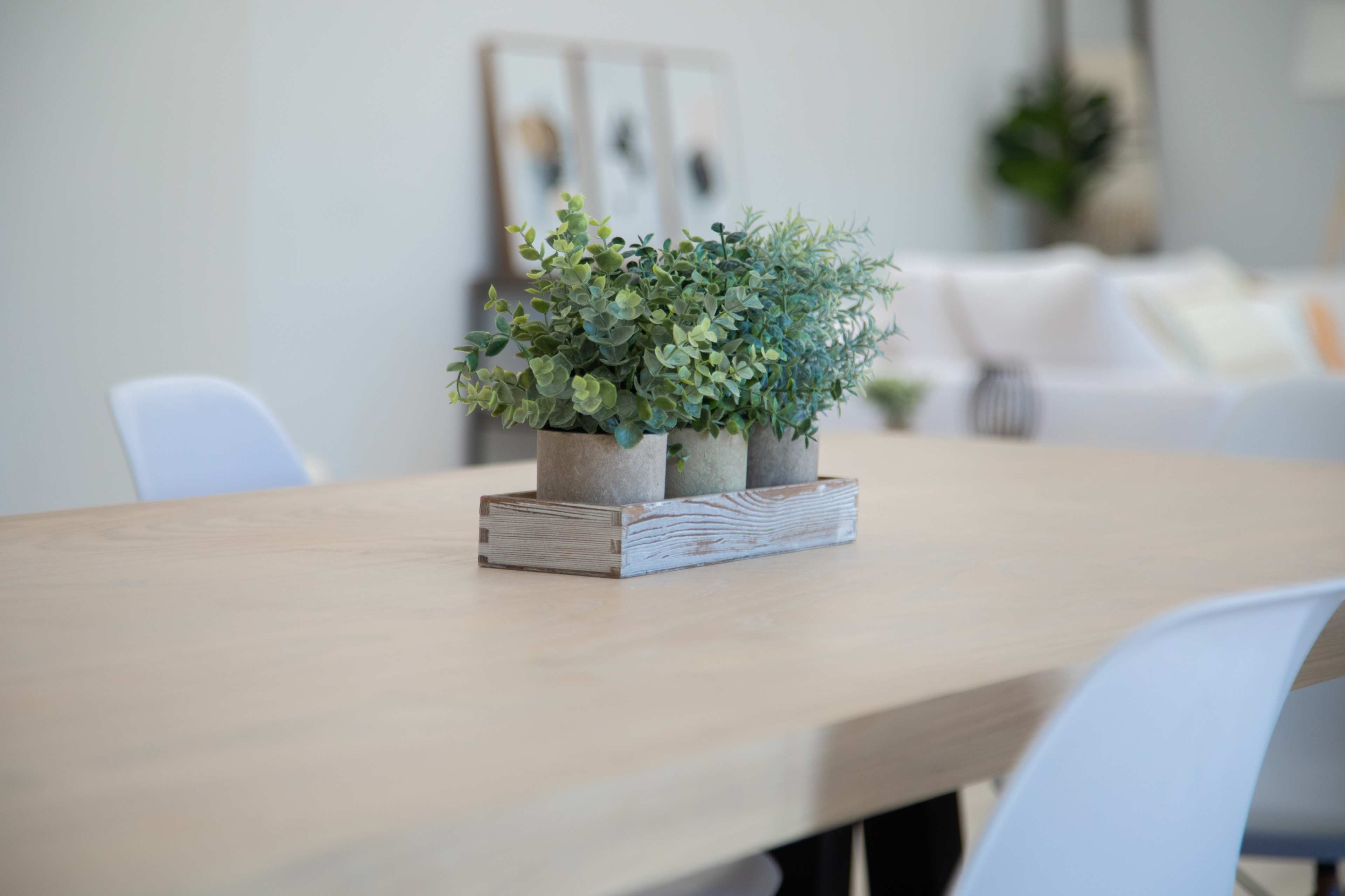 A wooden dining table features a centerpiece with two potted plants in a rustic tray, surrounded by white chairs.