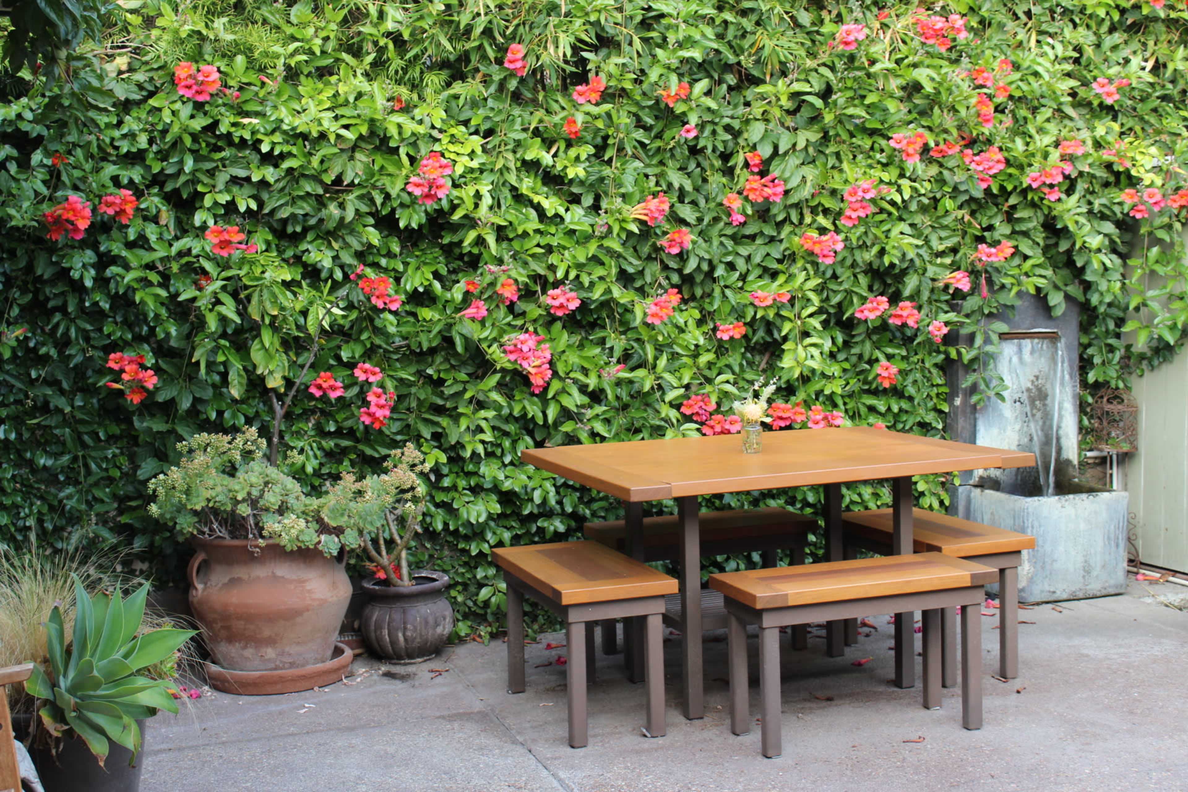 A wooden table with benches is set against a backdrop of vibrant green foliage and blooming flowers.