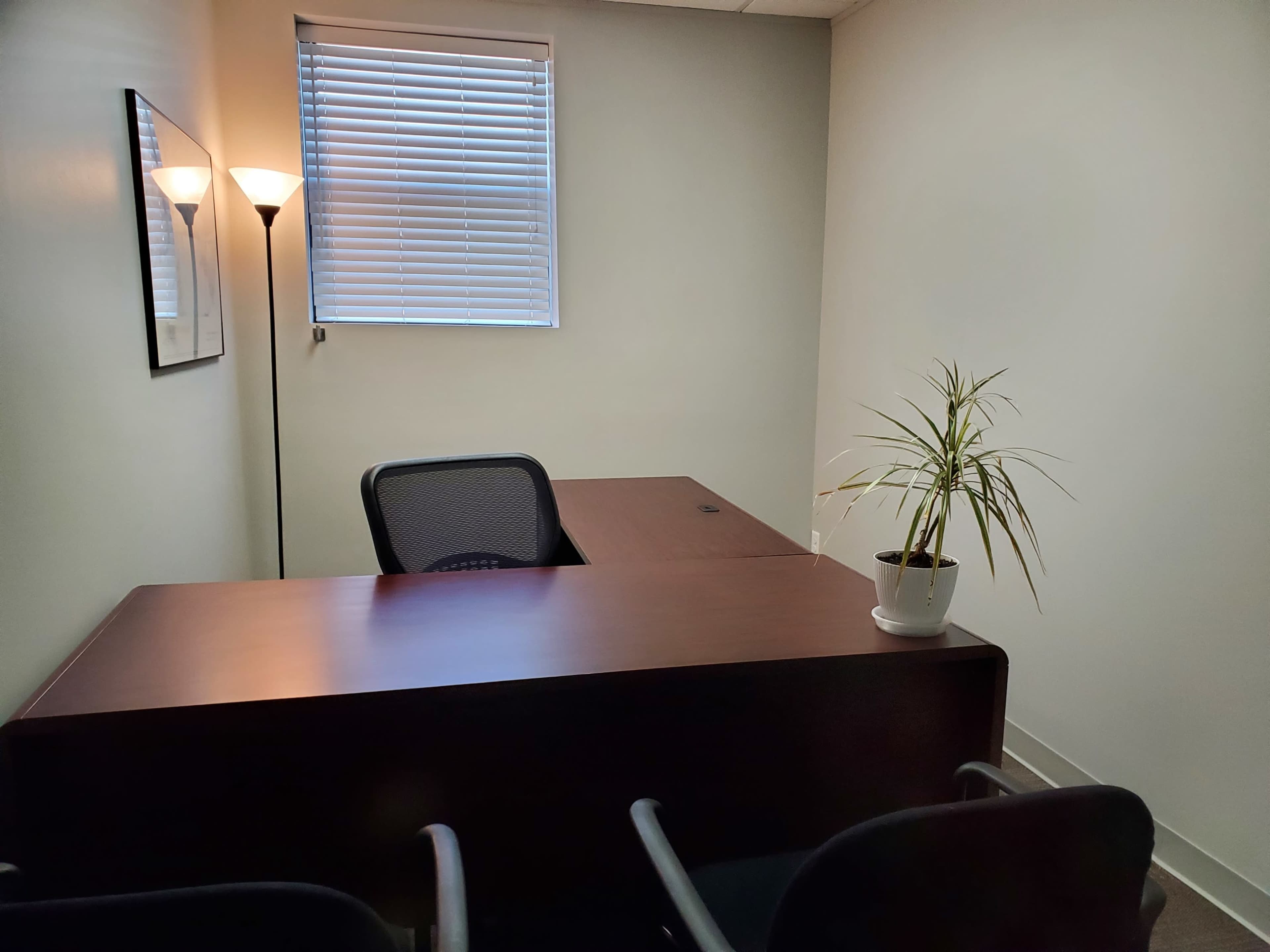 A small office with a wooden desk, two chairs, a potted plant, a lamp, and a window with blinds.