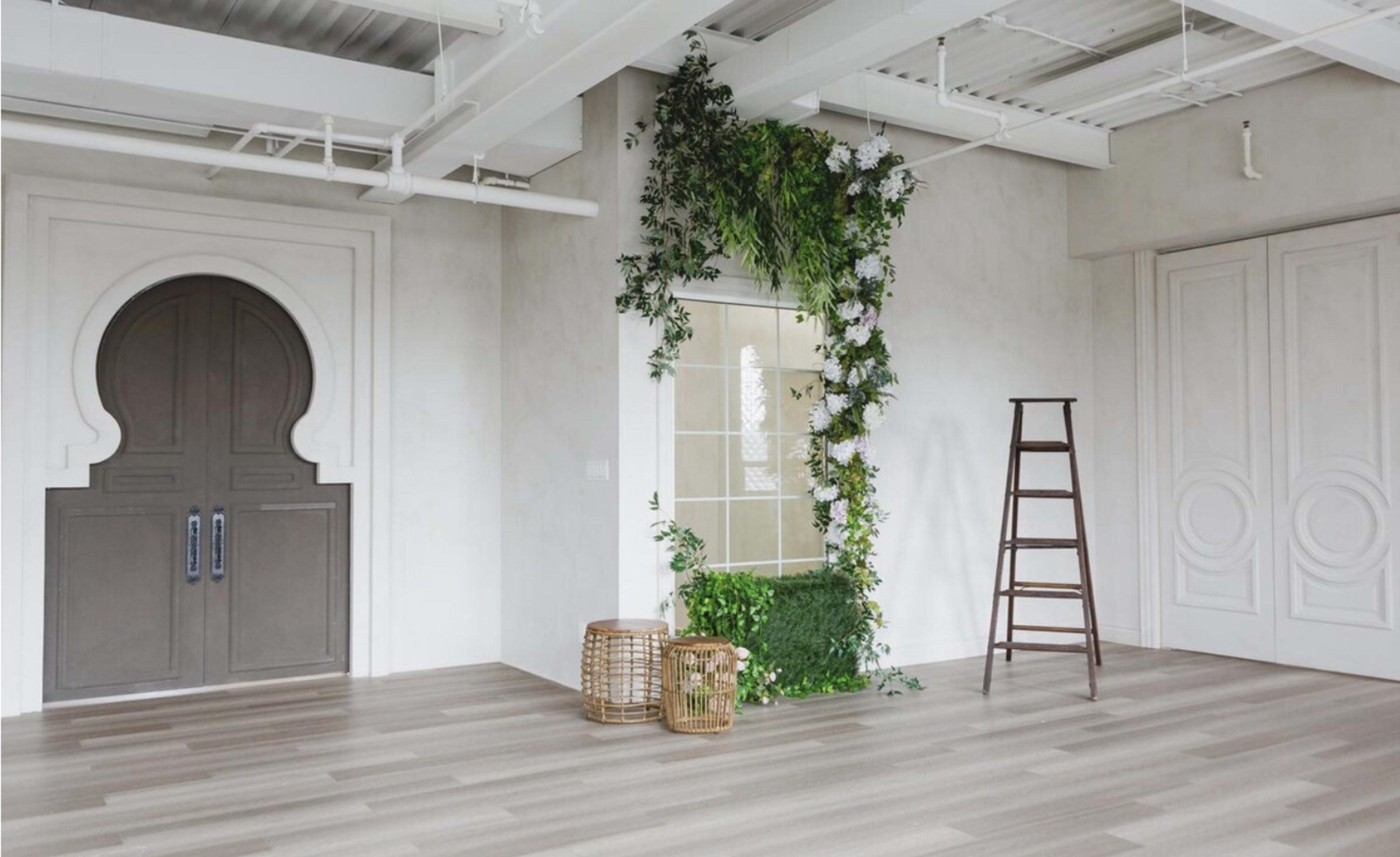 A spacious, well-lit room with a decorative archway, a ladder, and a green wall adorned with plants.