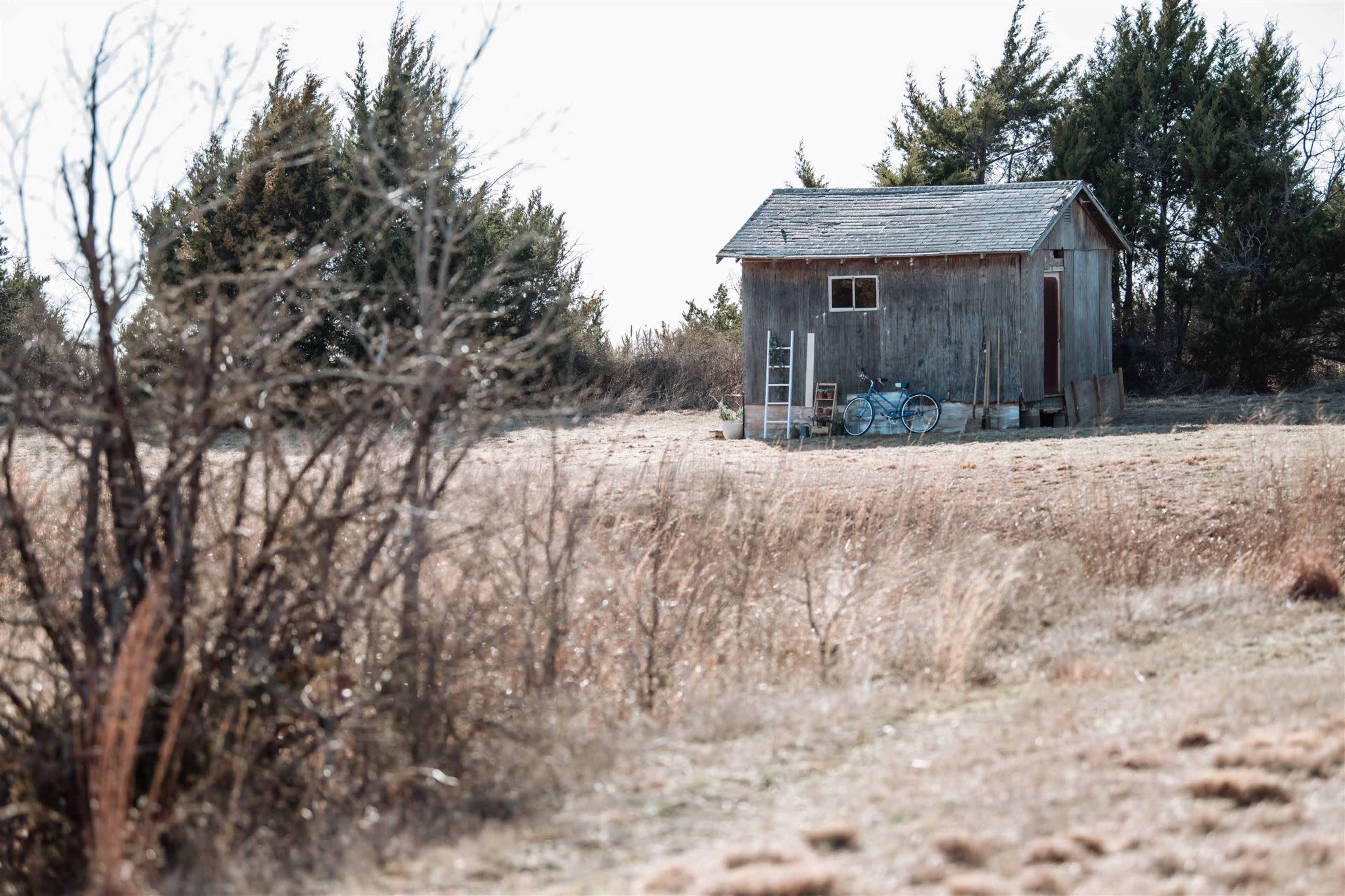 A small wooden shed with a ladder and bicycle is surrounded by sparse trees and dry grass.
