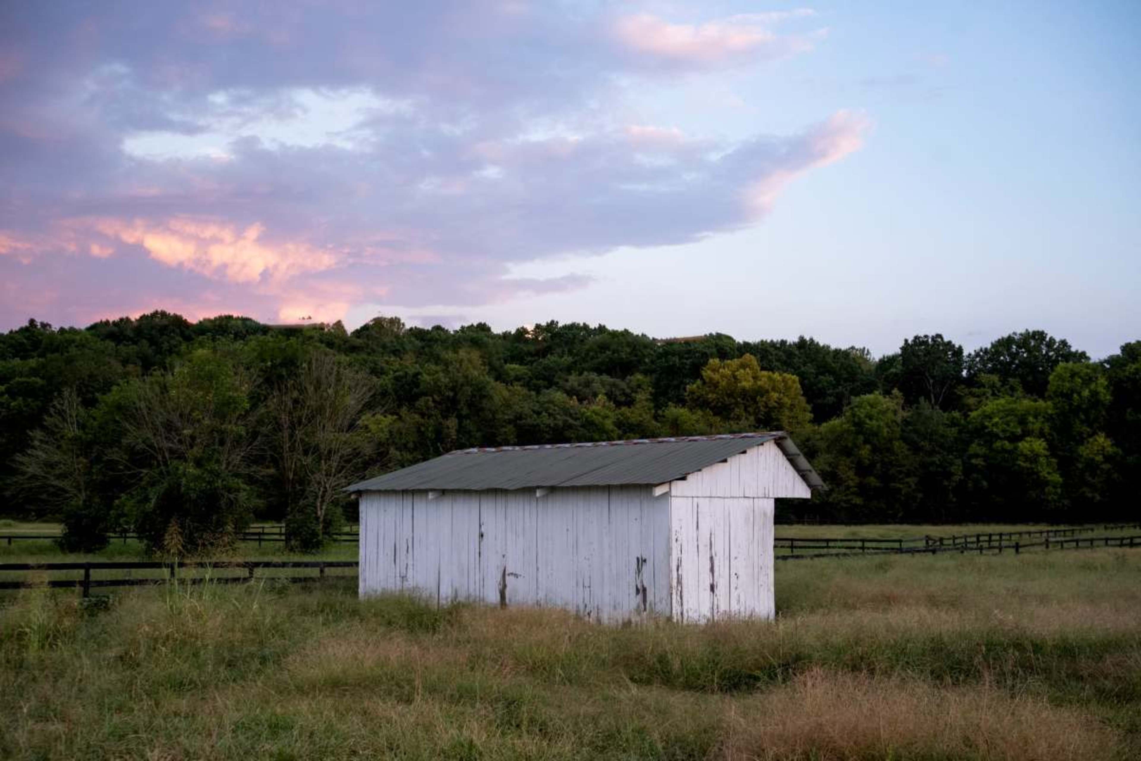 14-acre working farm in Williamson County | Golden light, open pastures, beautiful stables, animals, farmhouse aesthetic | 30 min from Nashville Image in , Franklin, TN