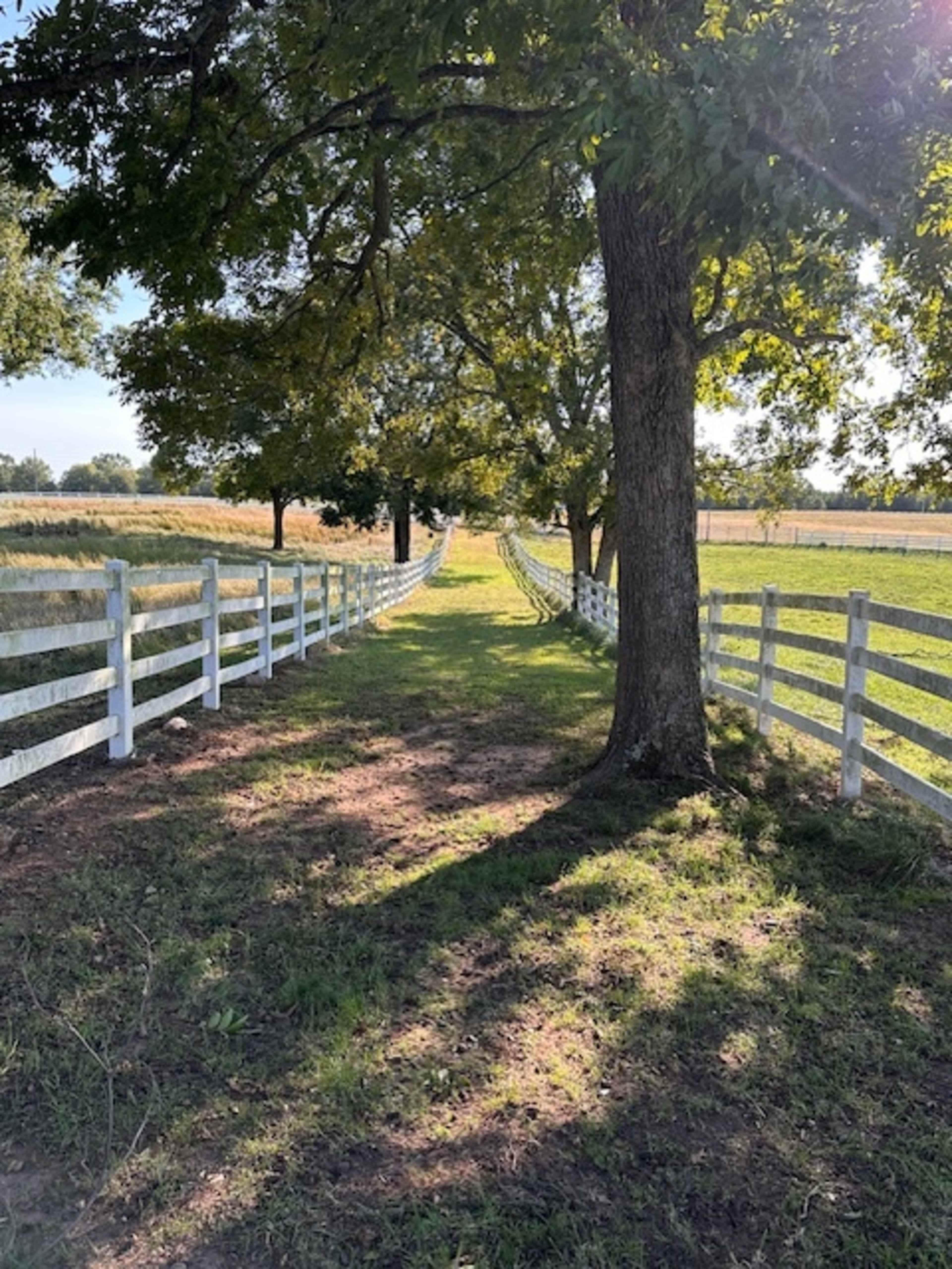 Capture timeless moments on a scenic farm and stable with natural open spaces, paths, mature trees, and sunsets Image in , Winder, GA
