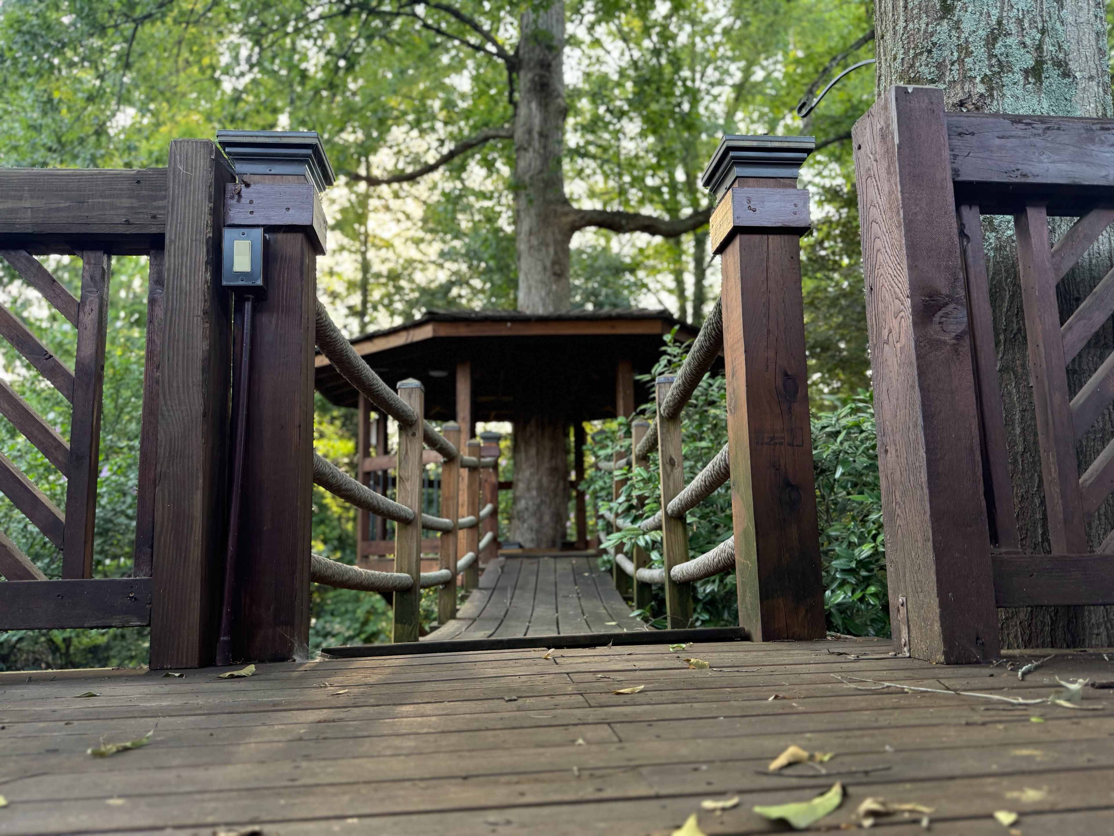 Magical Intown Backyard Oasis with Treehouse, Suspension Bridge, Pond & Lush Foliage Image in Atlanta, Atlanta, GA