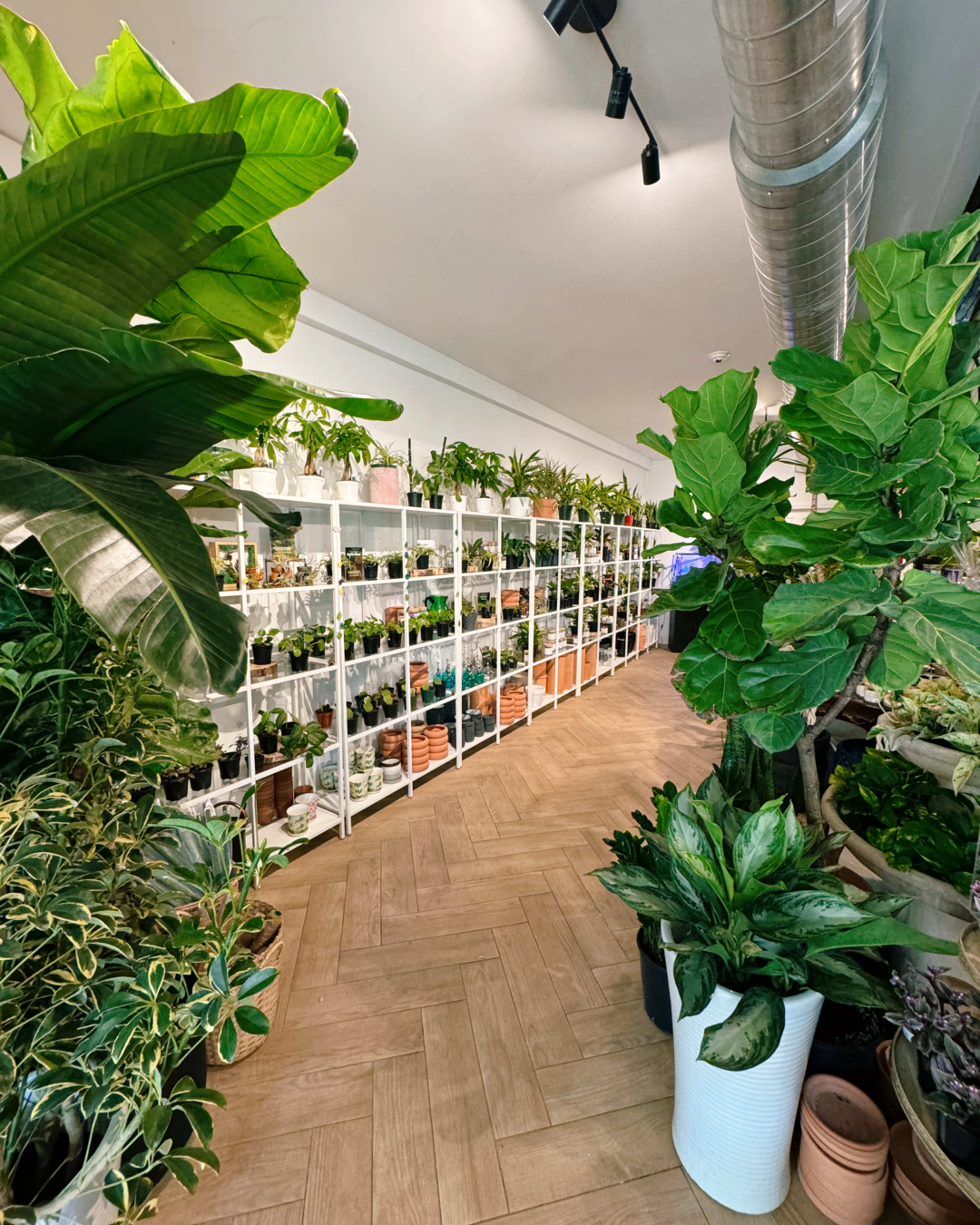 Downtown Green Space Image in Westfield, Westfield, NJ