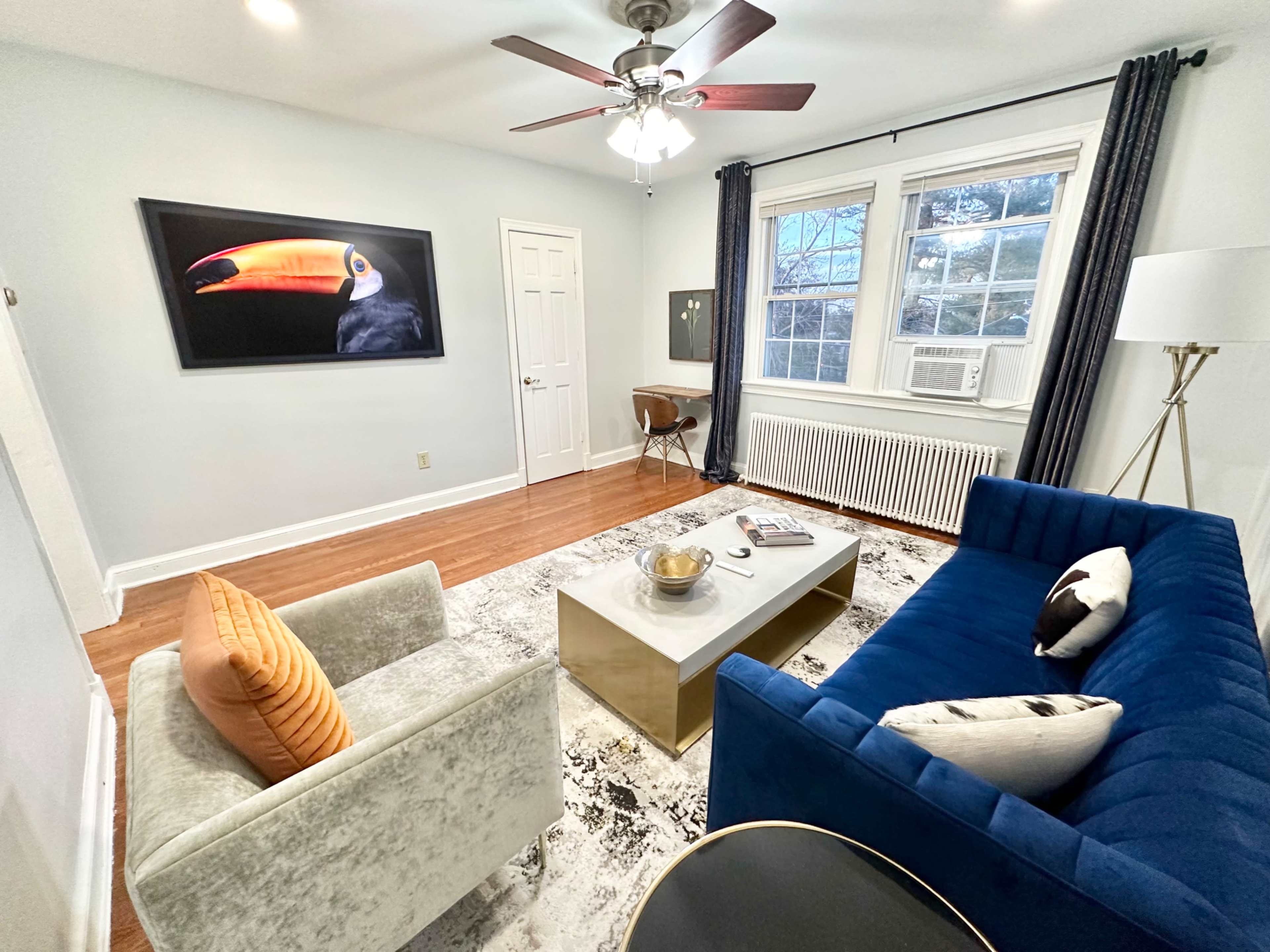 A living room featuring a blue couch, a gray armchair, a coffee table, and a large wall-mounted screen displaying a toucan.