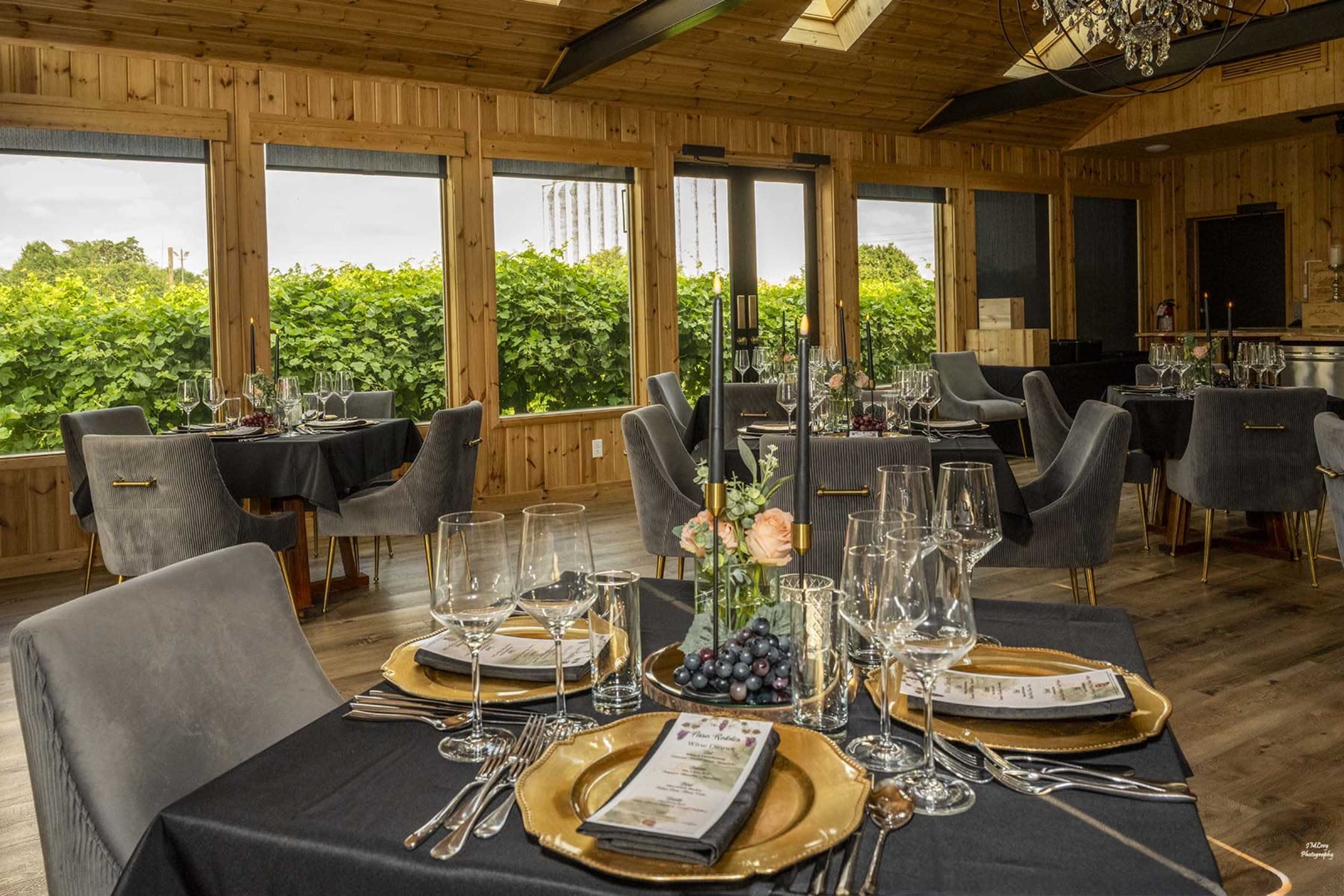 Modern Cedar Cabin in Urban Vineyard Image in Spring Branch West, Houston, TX