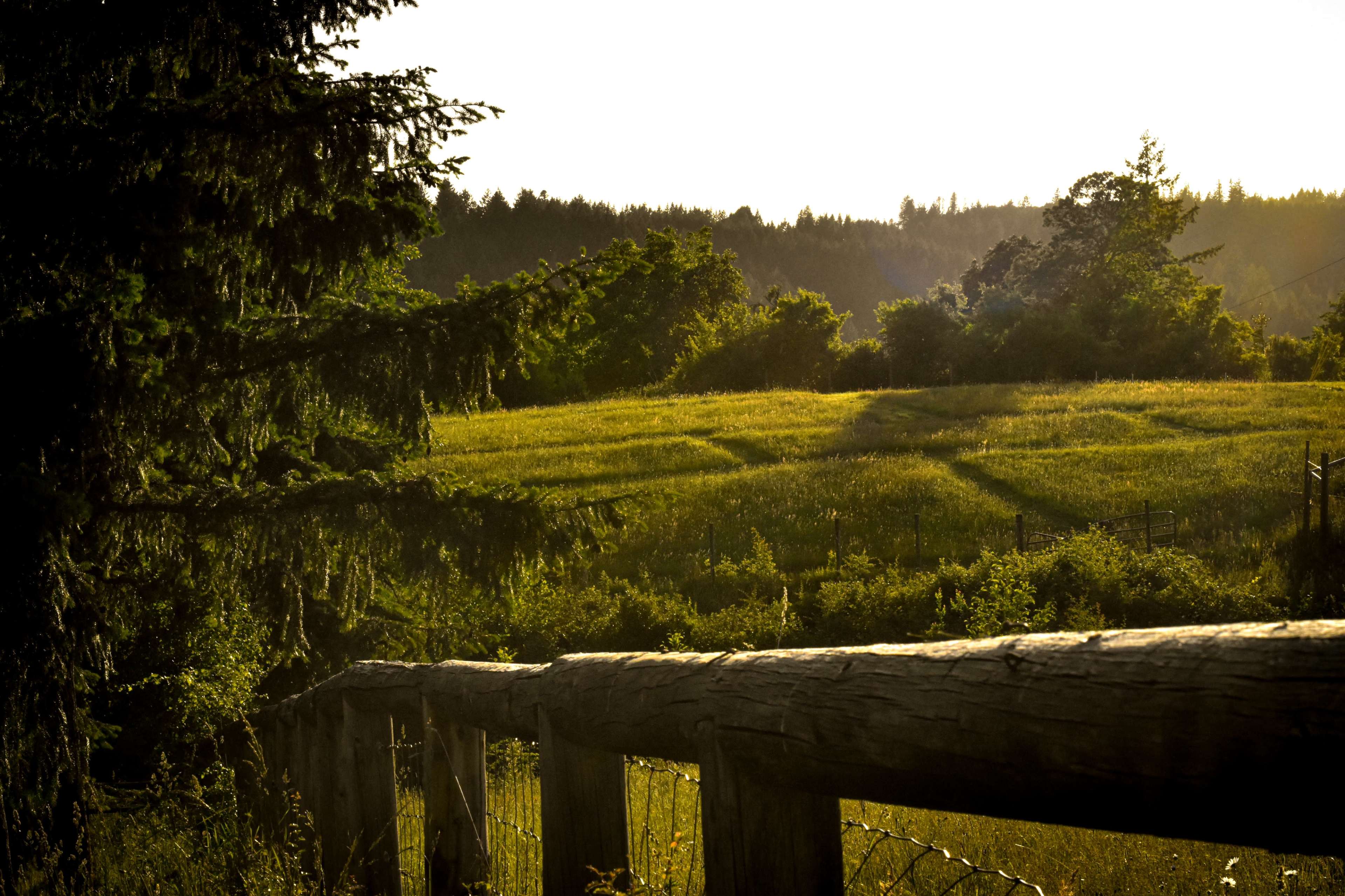 A wooden fence borders a sunlit grassy field surrounded by trees and distant hills.