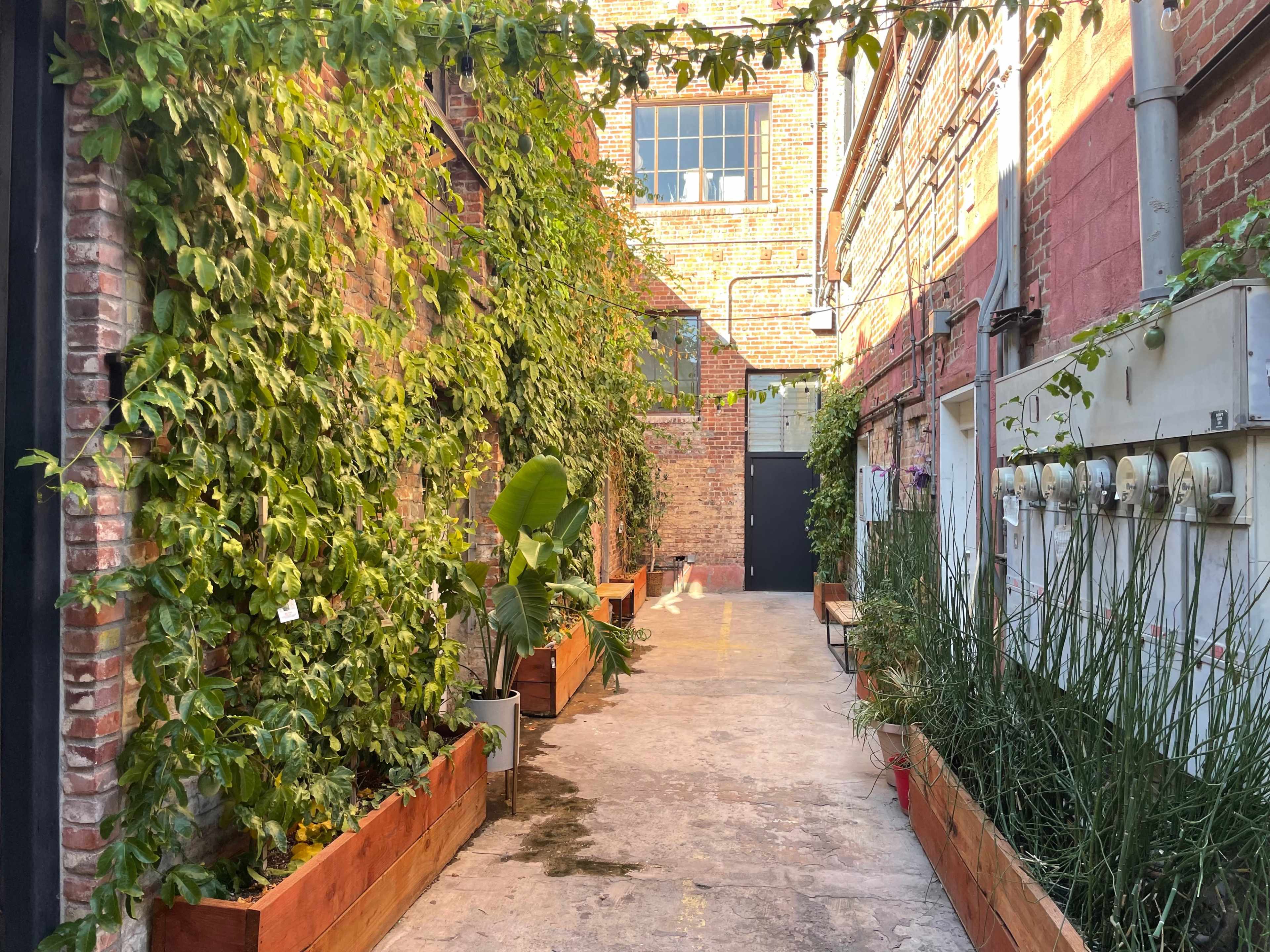 A narrow, brick-walled alleyway adorned with green vines and plants, lined with wooden planters and utility meters on one side.