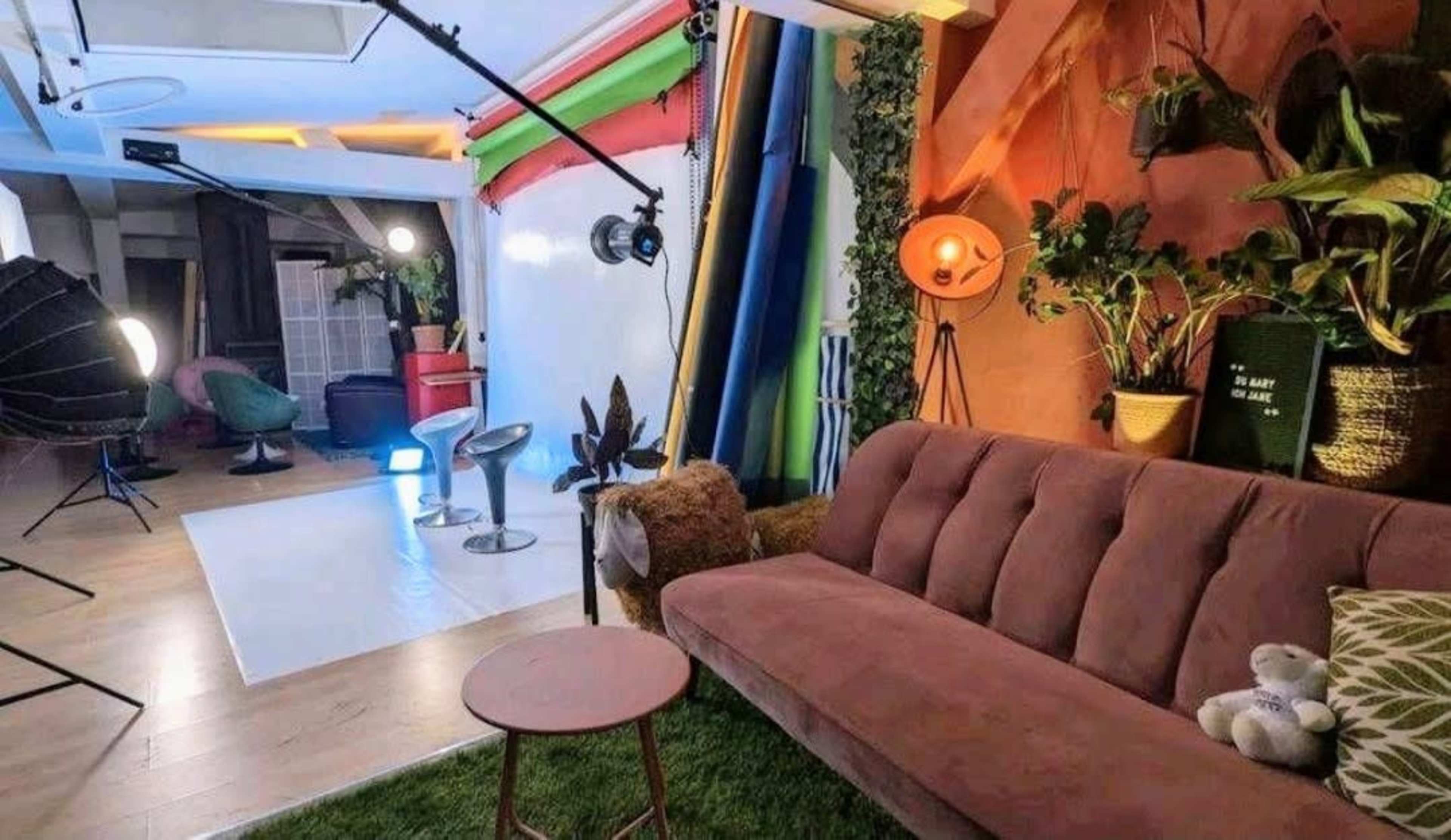 A photography studio with a variety of colorful backdrops, lighting equipment, a brown couch, and decorative plants.