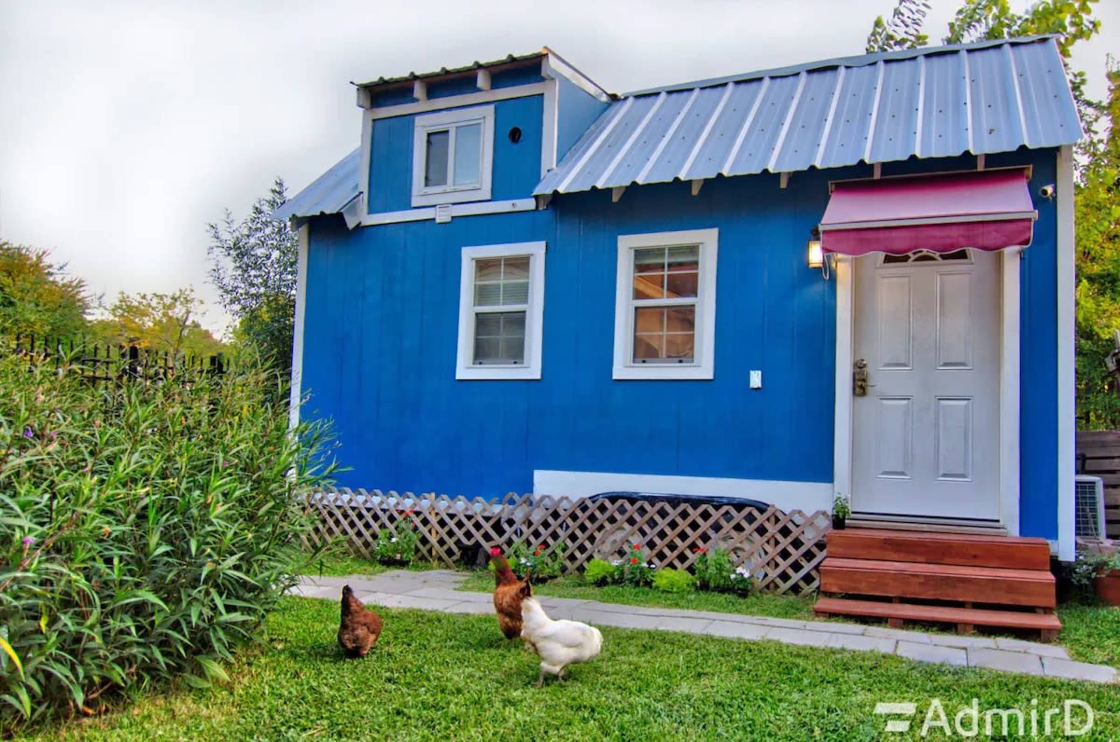 A small blue house with a metal roof features a white door and two chickens in the foreground, surrounded by greenery and a stone pathway.
