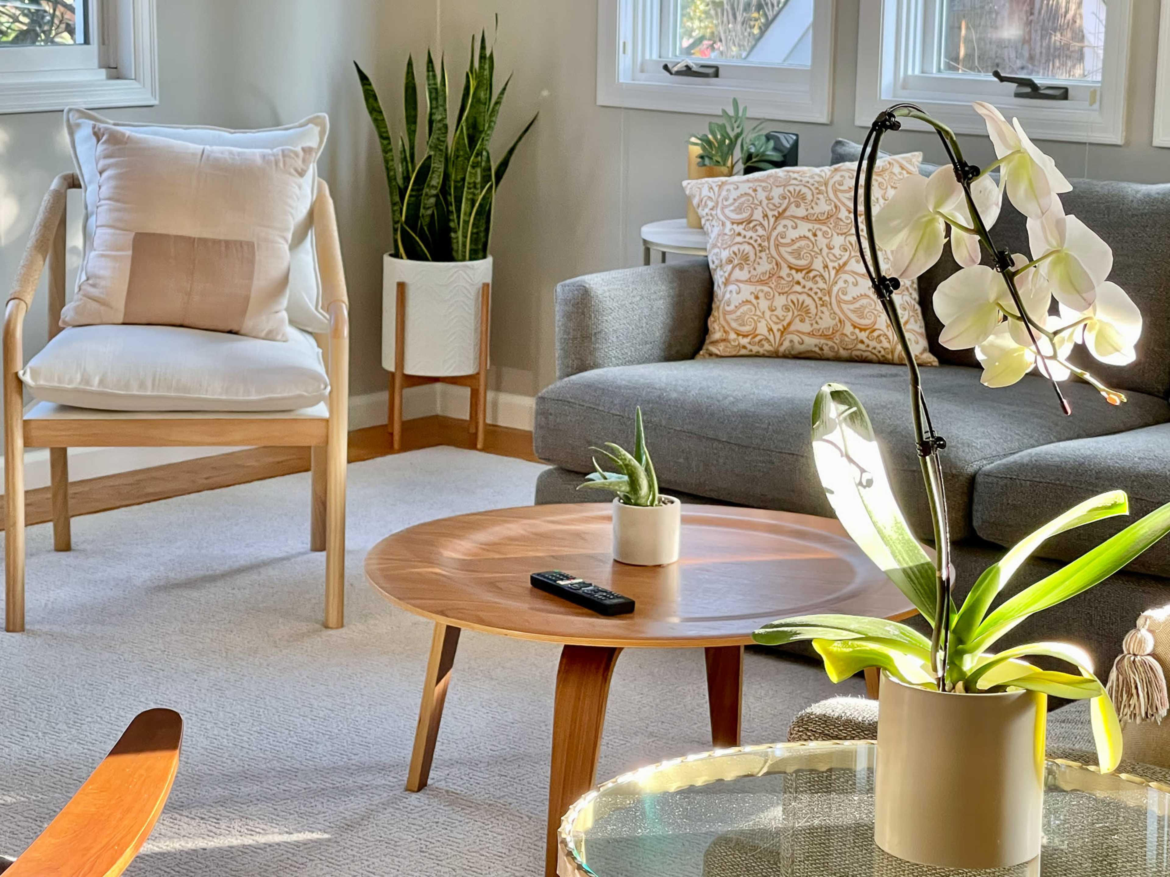 A modern living room with a gray sofa, a round wooden coffee table, a chair, and potted plants.