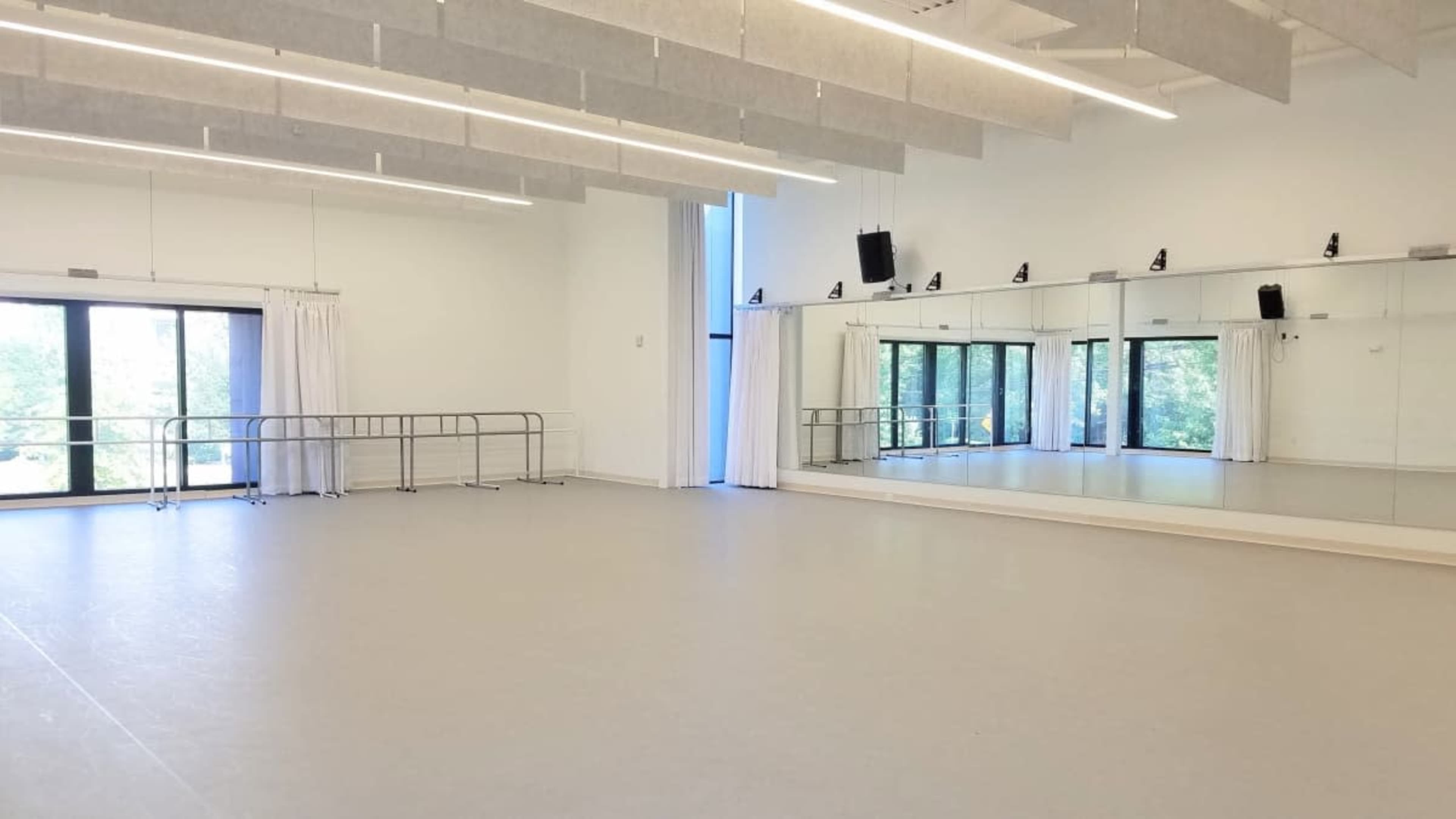 Modern & Beautiful Marley Floor Dance Studio Image in Edgewood, Atlanta, GA