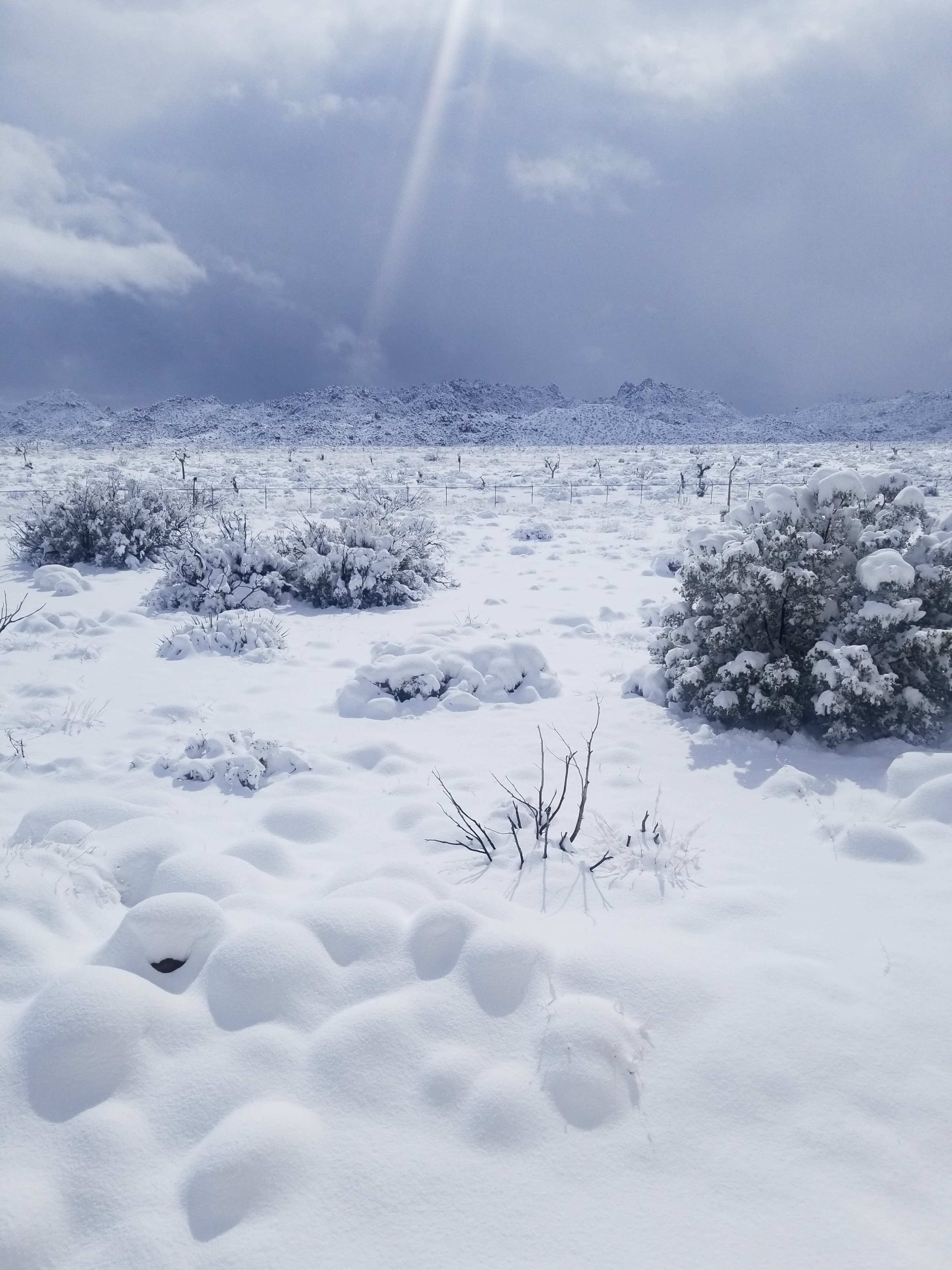 A vast, snow-covered landscape stretches across the scene, with shrubs and rock formations visible under a cloudy sky.