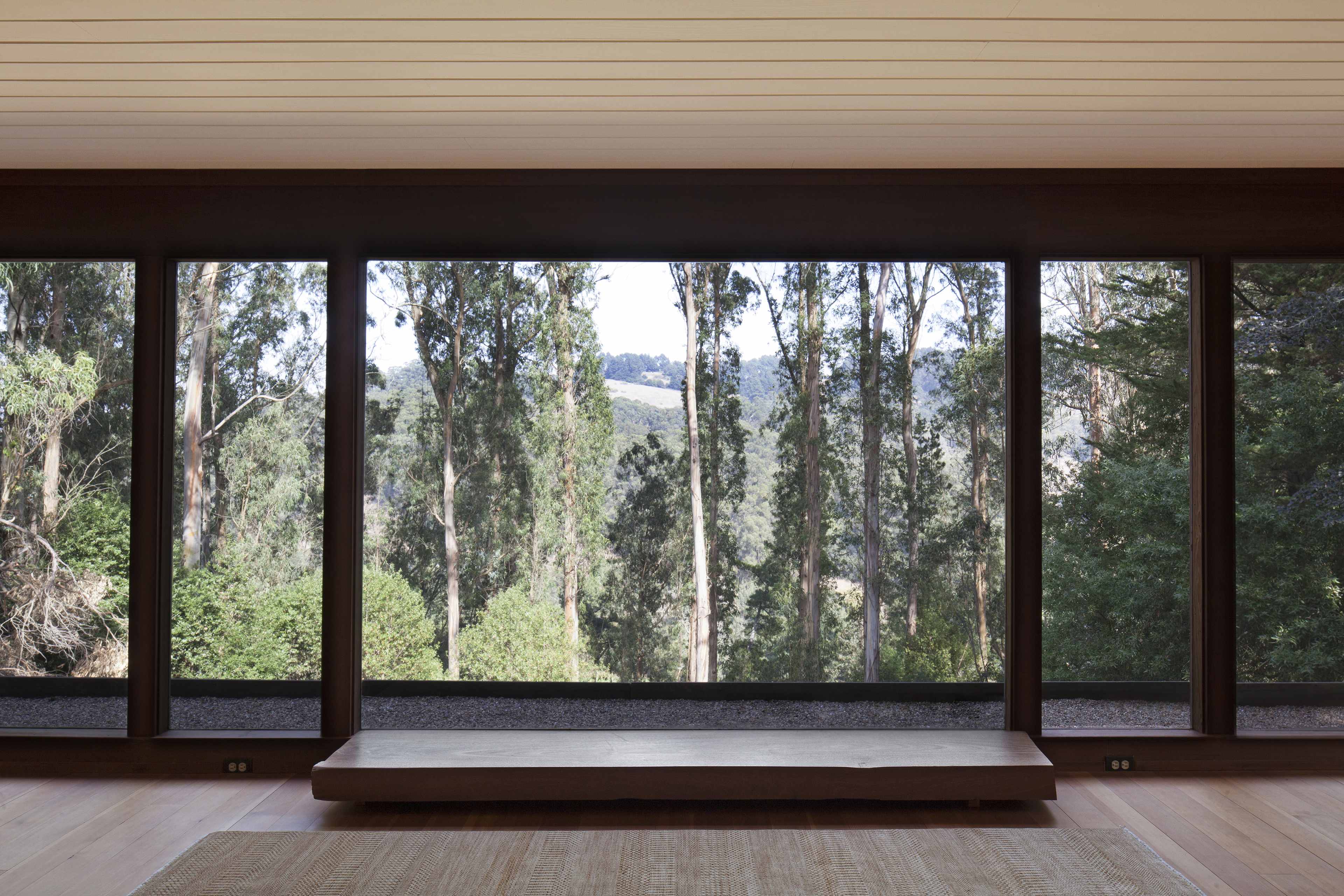 A spacious interior with large floor-to-ceiling windows overlooking a forested area.