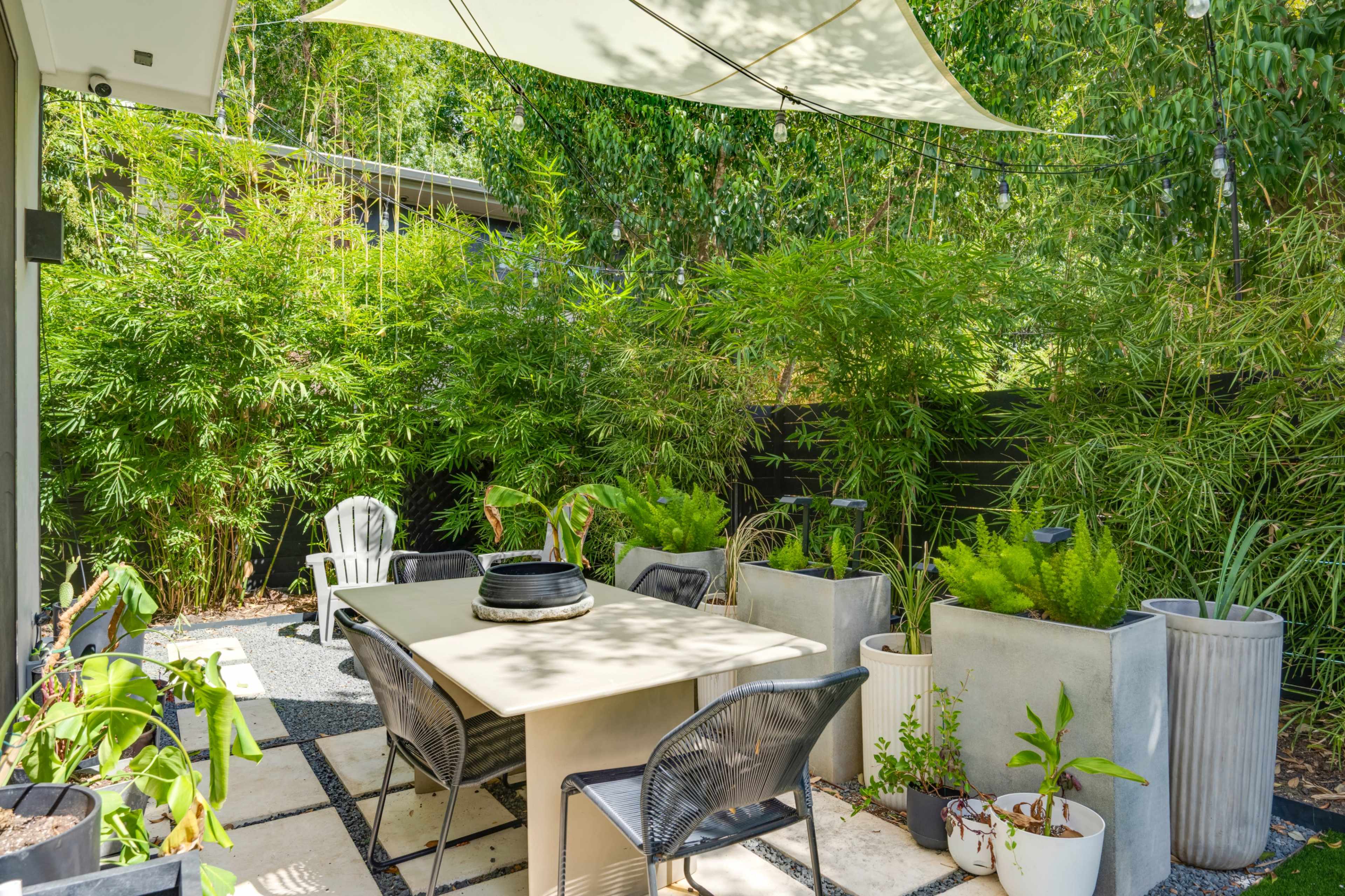 Modern Apartment with lots of Natural Light Image in Zilker, Austin, TX
