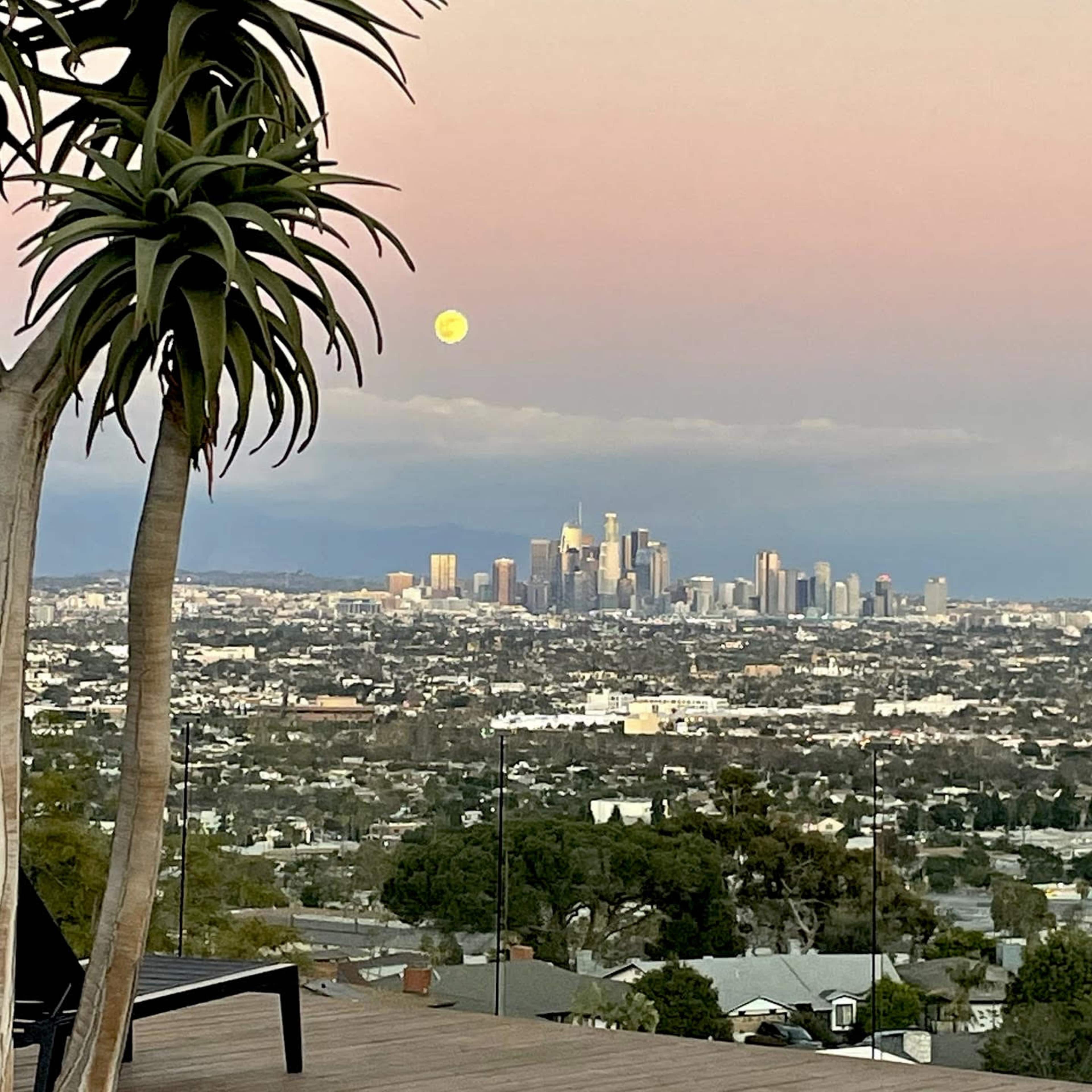The scene shows a view of the Los Angeles skyline at dusk, with a large moon rising above the city, framed by a foreground of a palm-like plant.