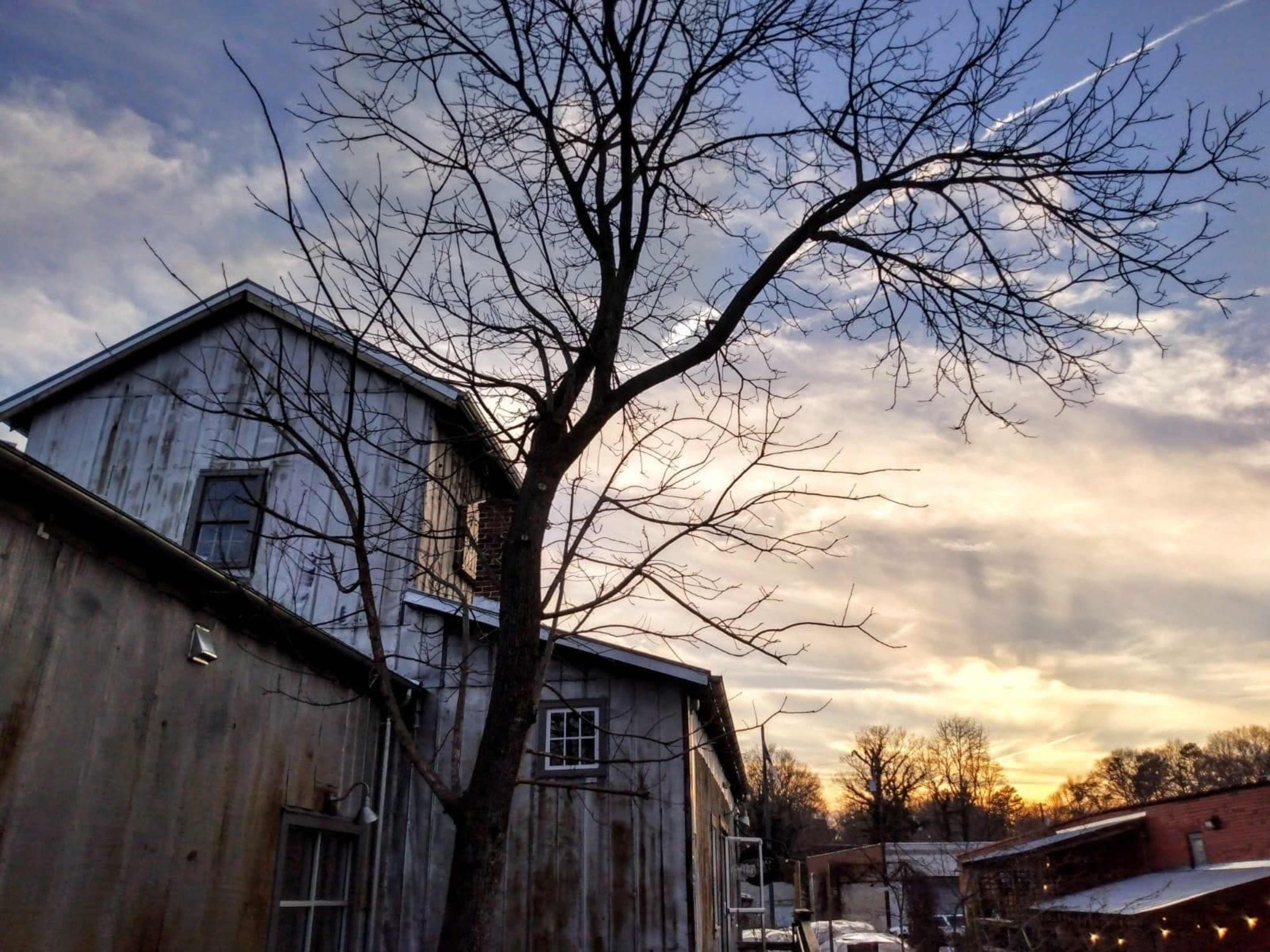 A bare tree leans against a rustic wooden building under a multicolored sky at sunset.