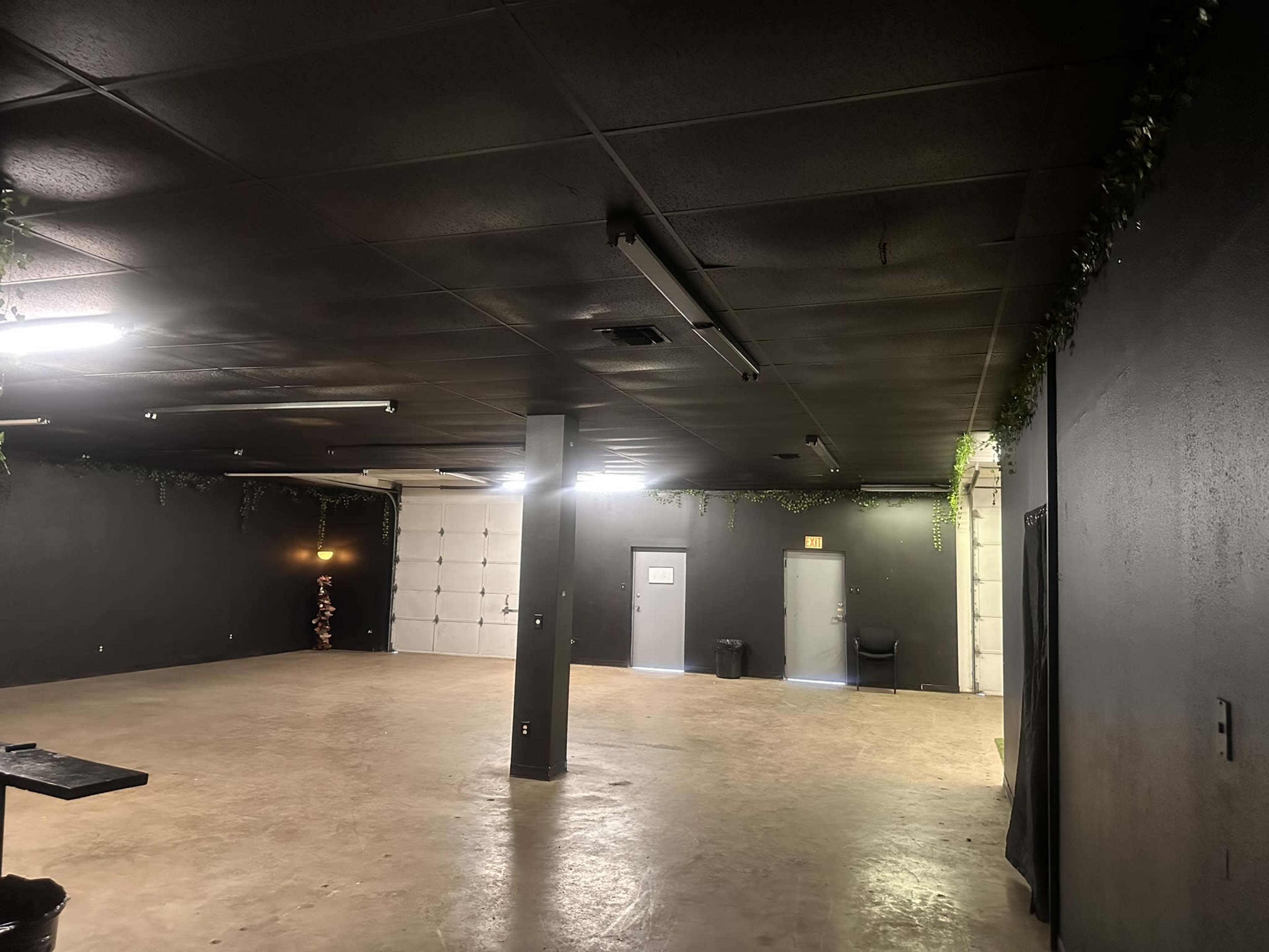 The image shows an empty, dimly lit room with black walls, a concrete floor, and a few plants hanging from the ceiling.