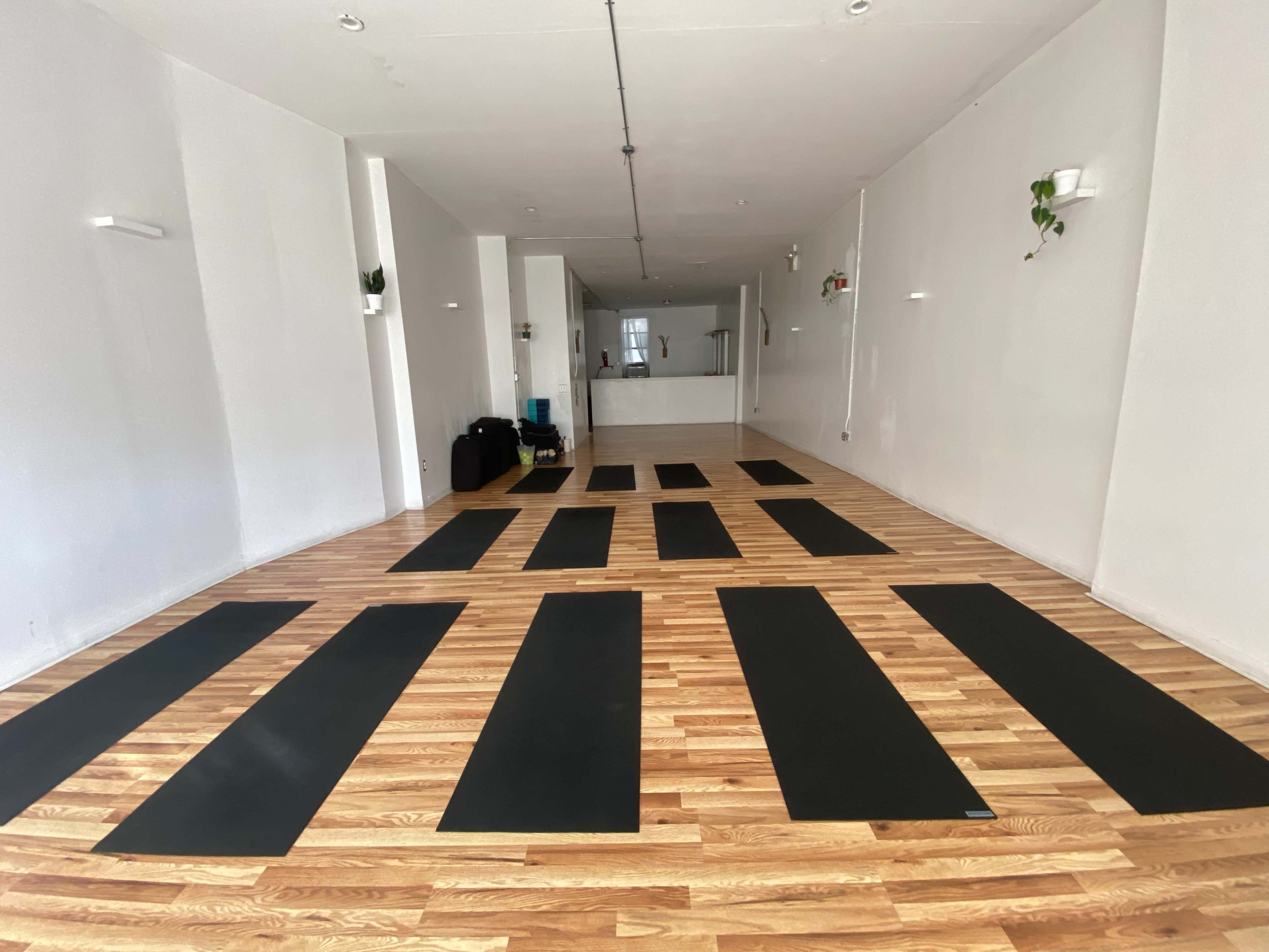 Peaceful Crown Heights Yoga Studio Image in Crown Heights, Brooklyn, NY