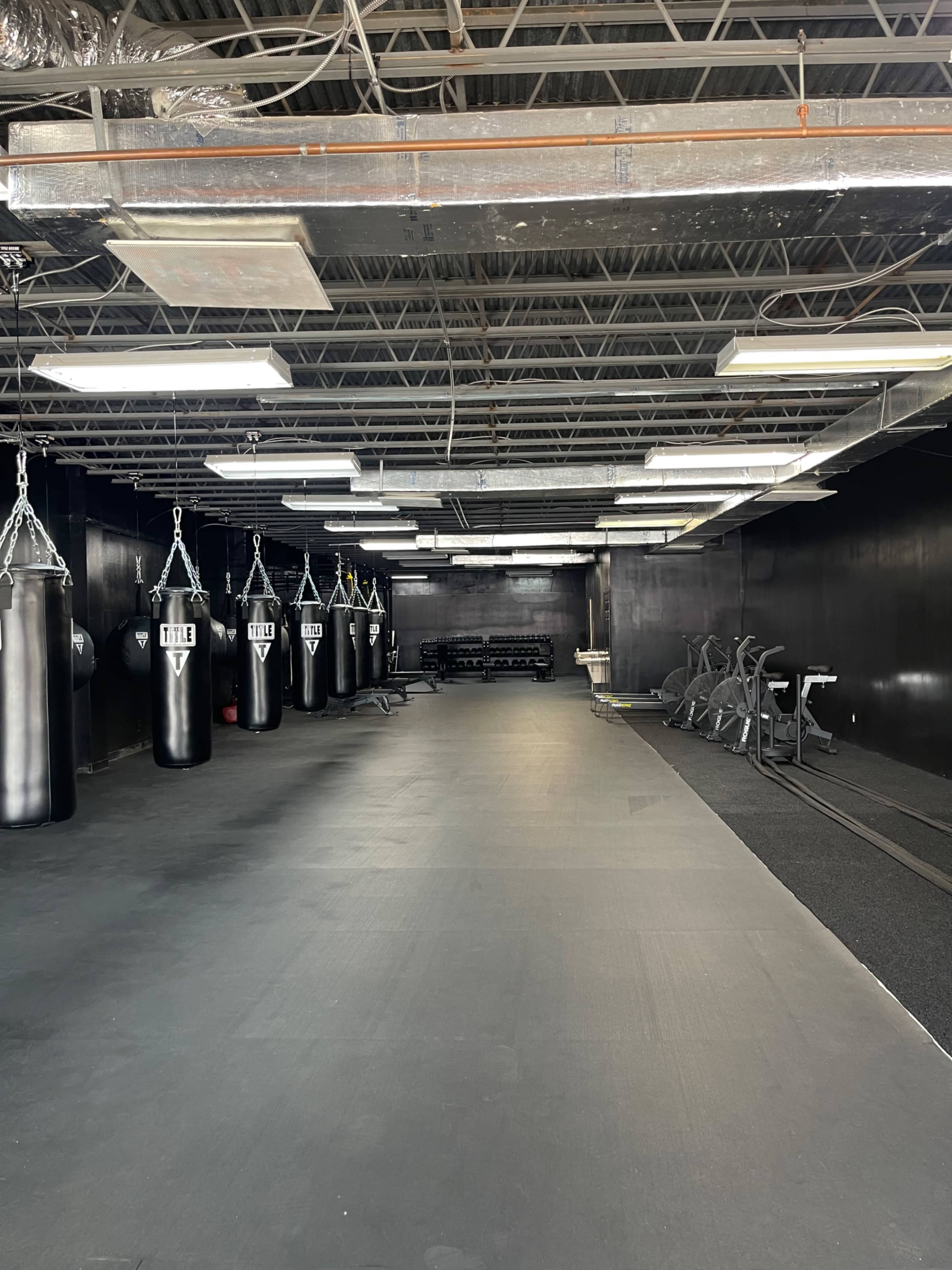 North Georgia Premium Fitness and Boxing Gym Image in Gainesville, Gainesville, GA