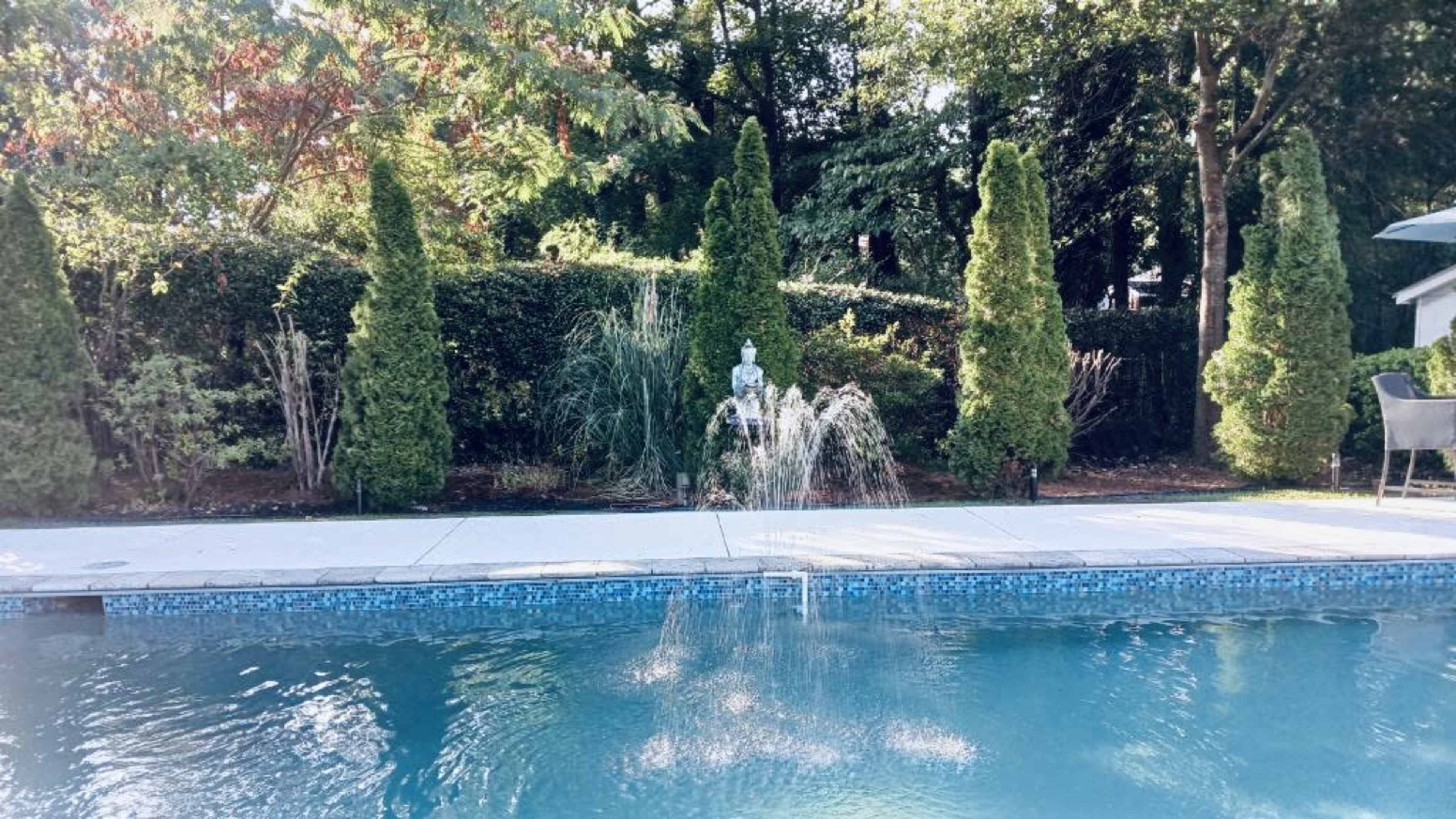 A swimming pool features a fountain and is surrounded by tall, manicured hedges and several evergreen trees.