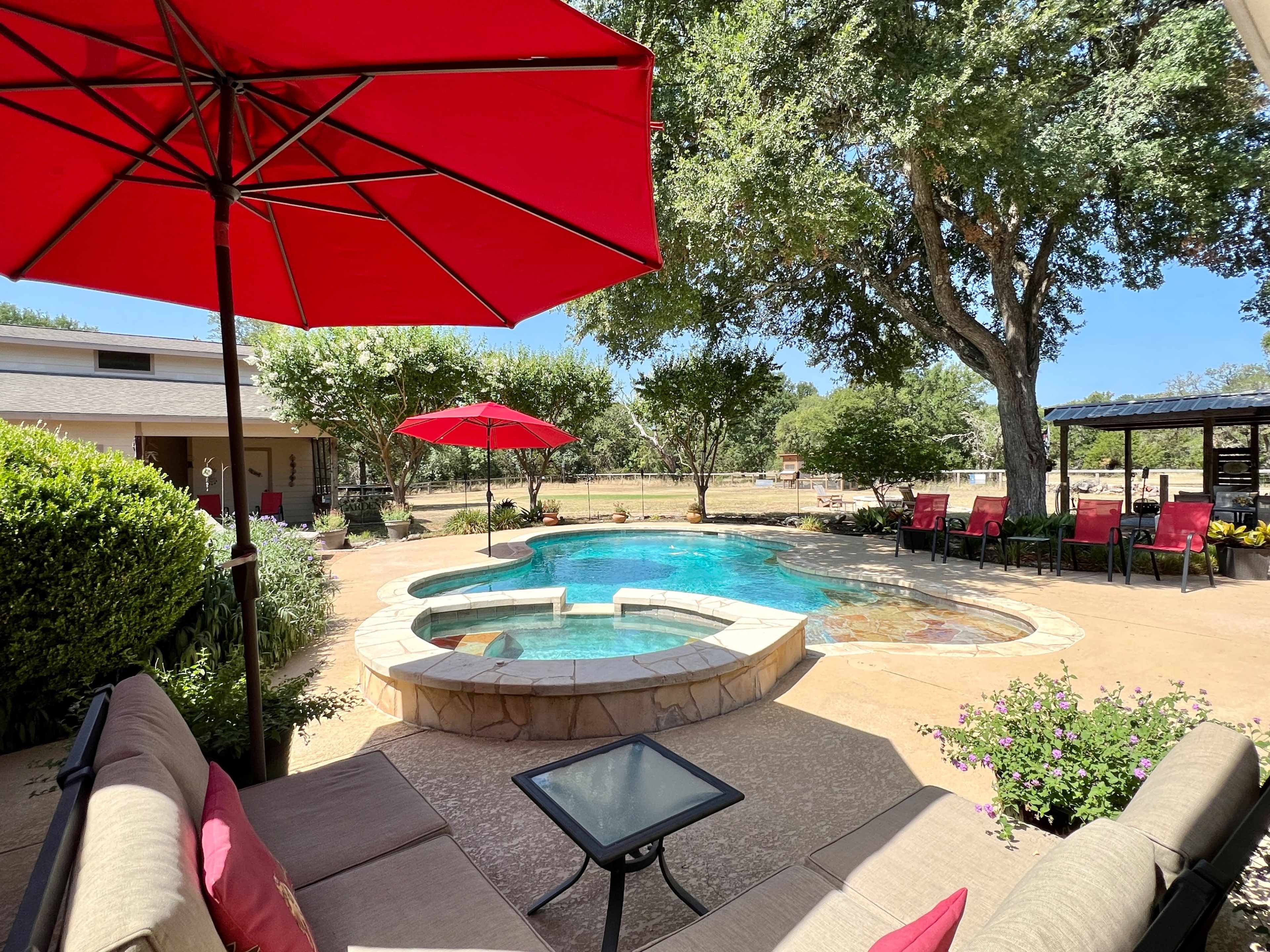 A backyard scene with a swimming pool, surrounded by red umbrellas, lounge chairs, and landscaped greenery.