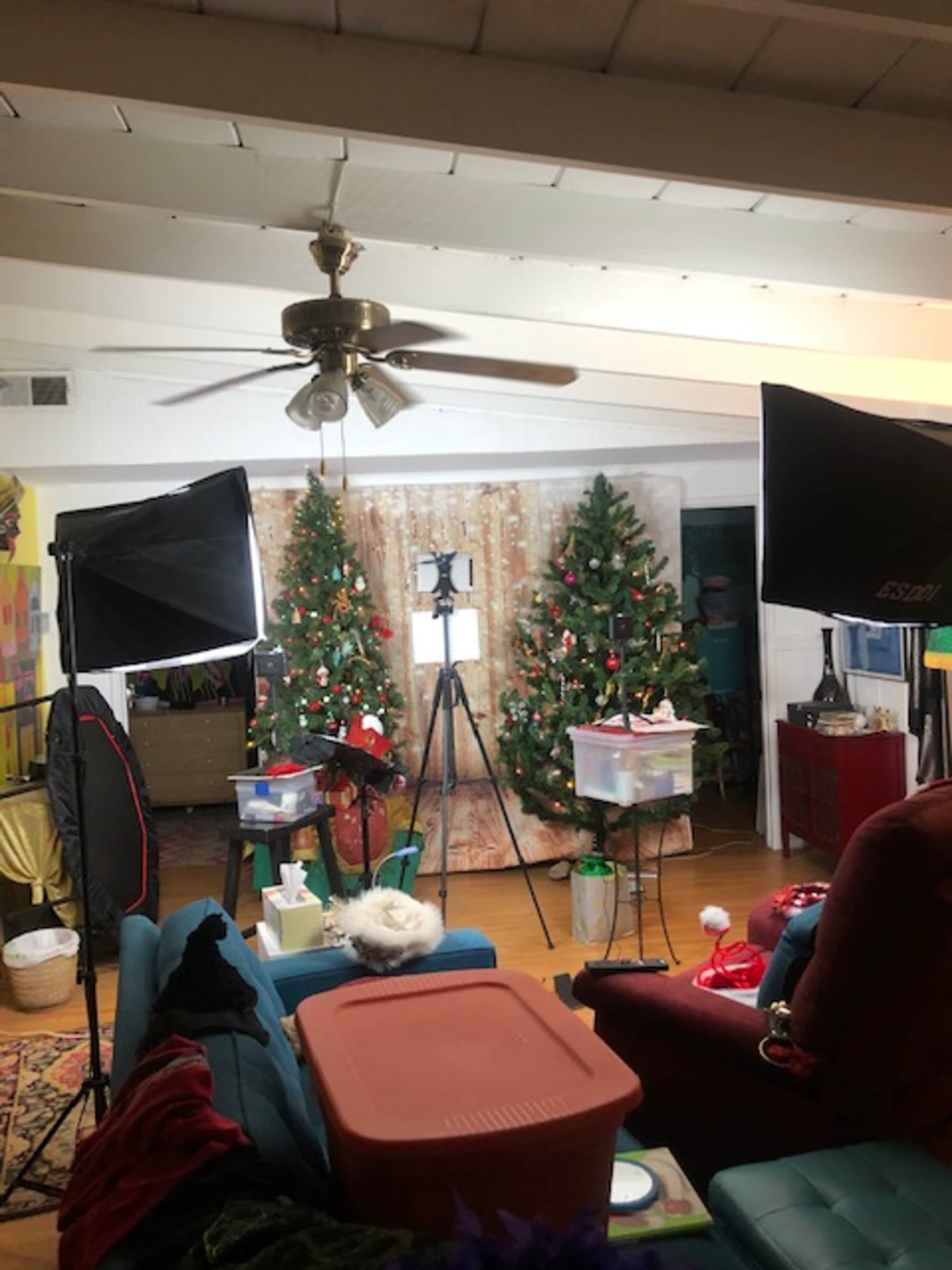 A living room is set up with two Christmas trees and professional lighting equipment for a photo or video shoot.