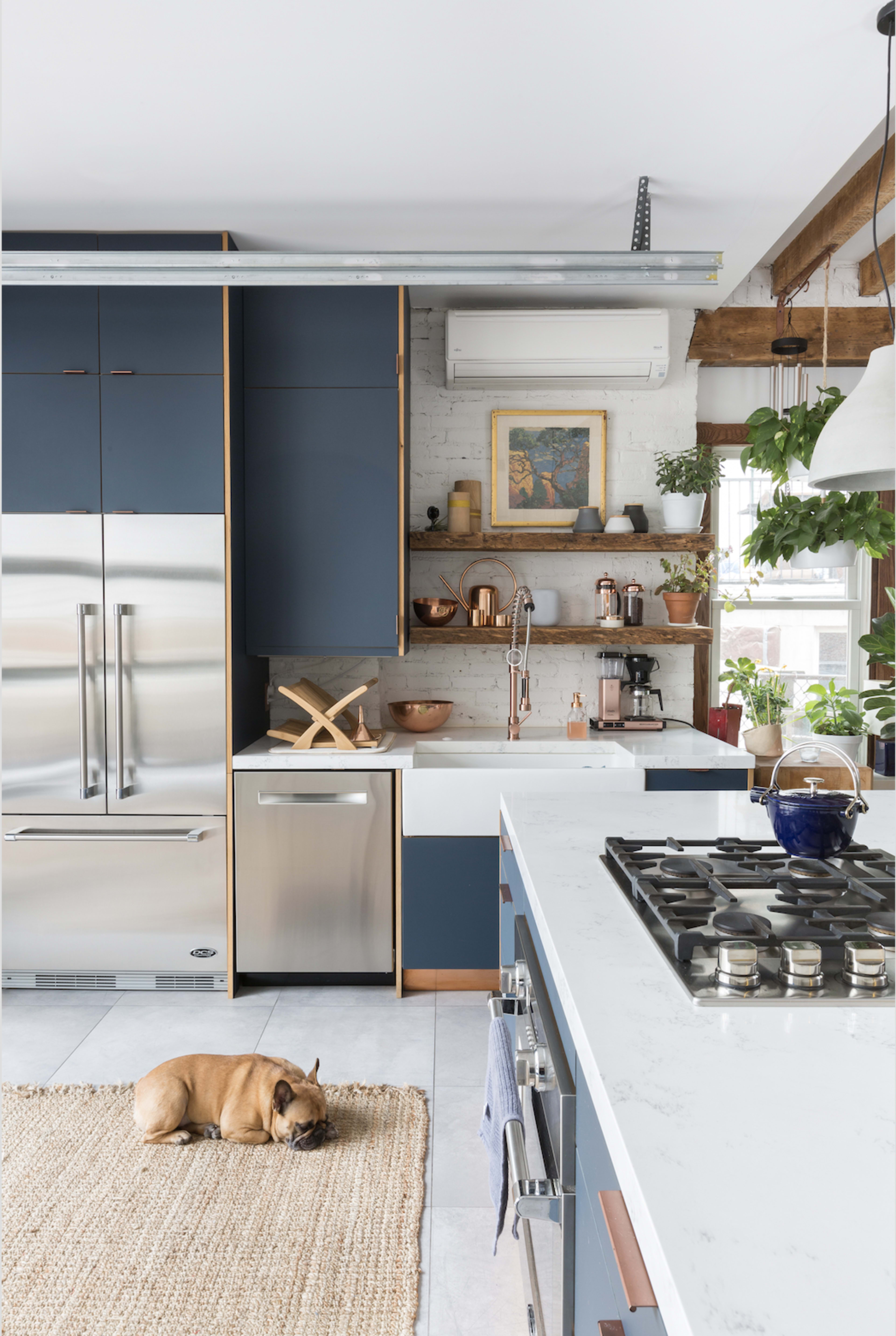 A modern kitchen features stainless steel appliances, navy cabinets, a white marble countertop, and a sleeping dog on a woven rug.