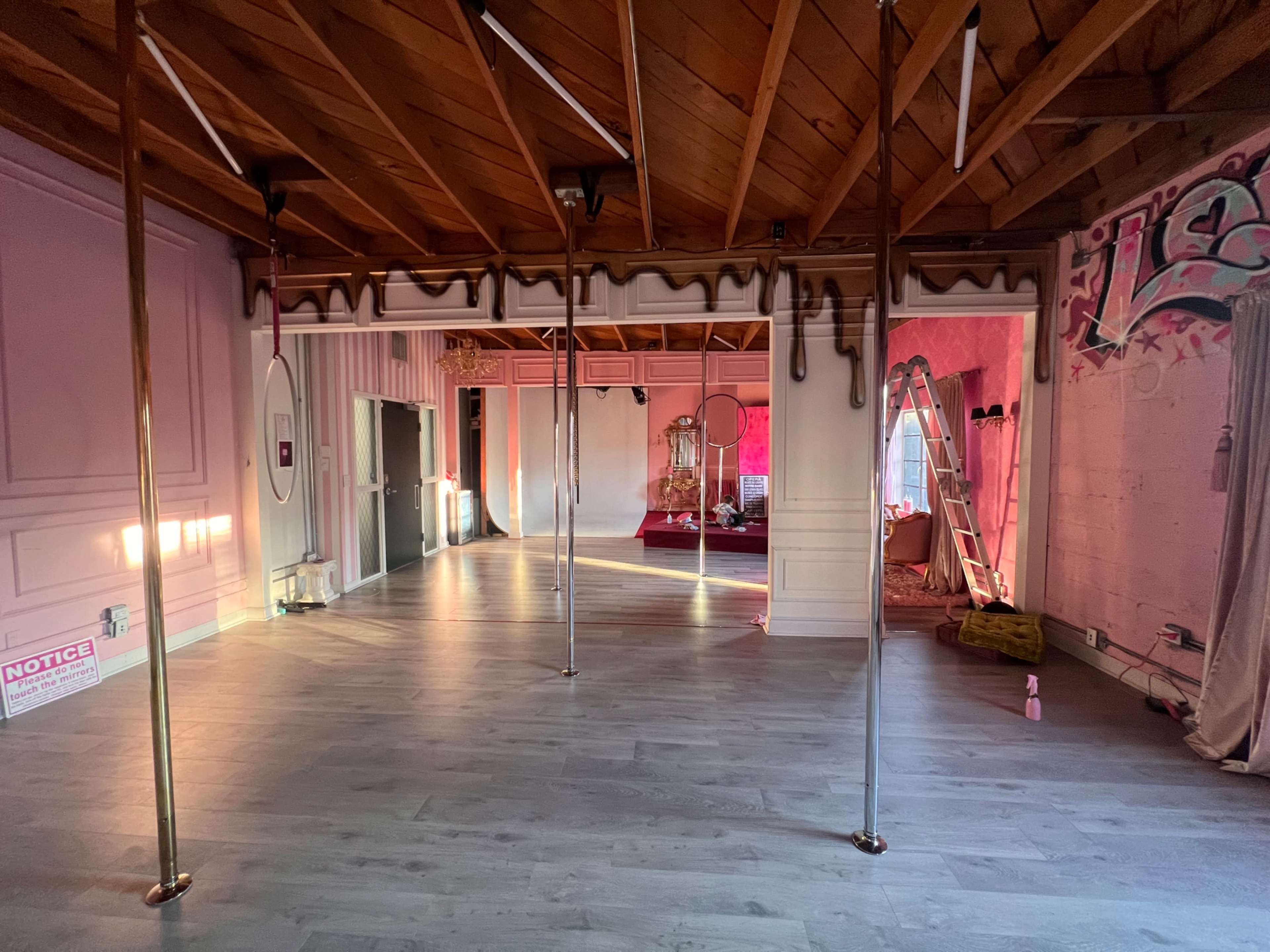 Pink Pole Dance Studio with a Cyc and a Bathtub Image in Hollywood, Hollywood, CA