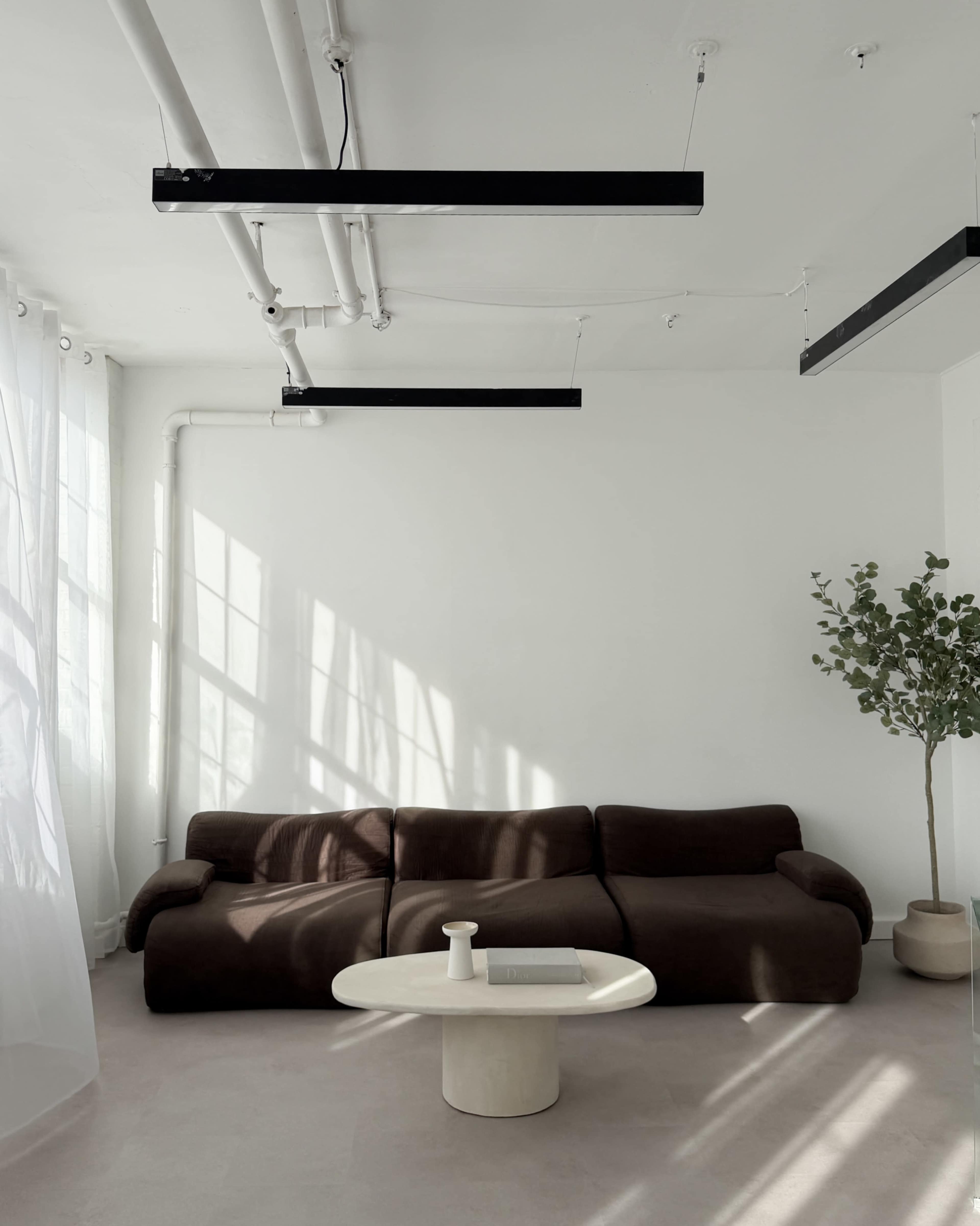 The image shows a minimalist living room with a brown sofa, a round coffee table, and a potted plant against a white wall.