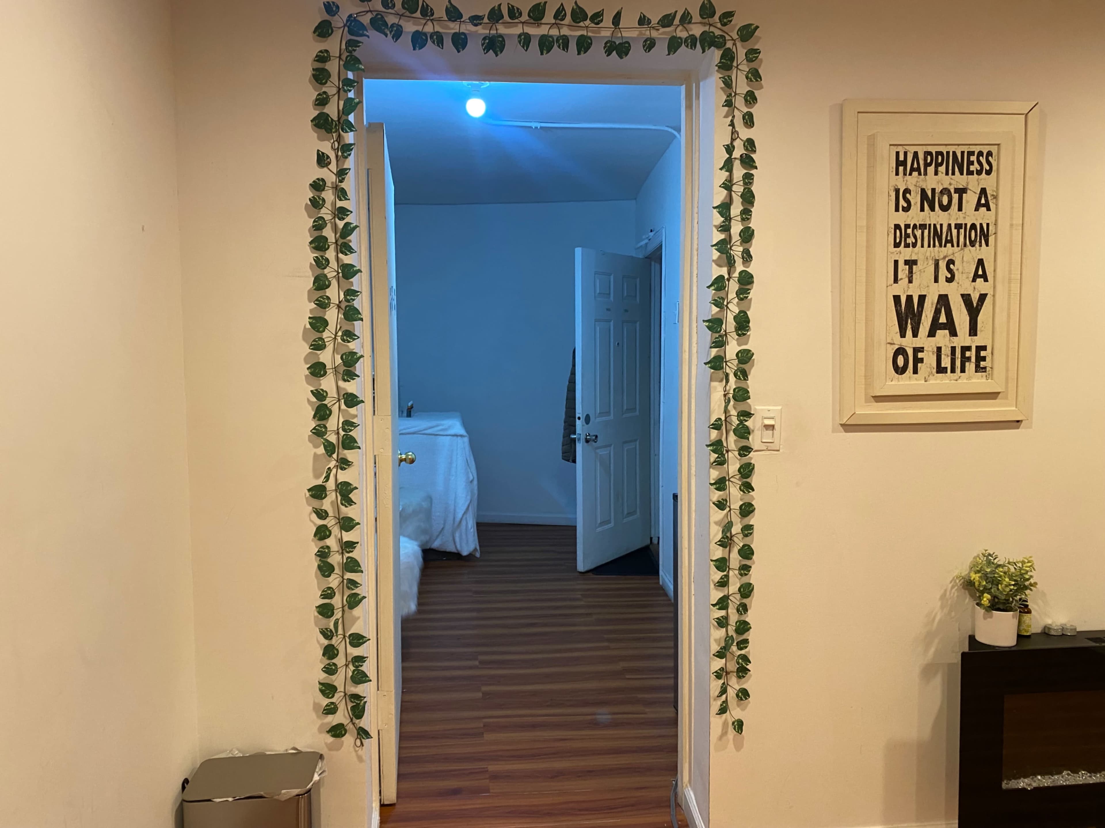 Cozy Urban Studio Image in Queens, Jamaica, NY