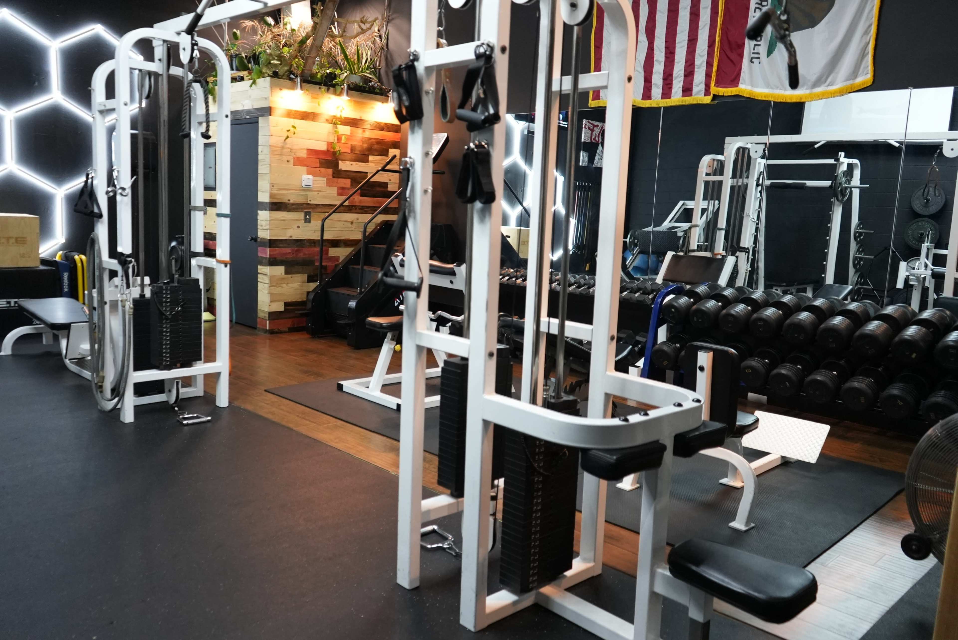 A gym interior featuring various weightlifting equipment, including a cable machine and dumbbell racks against a wall with decorative elements.
