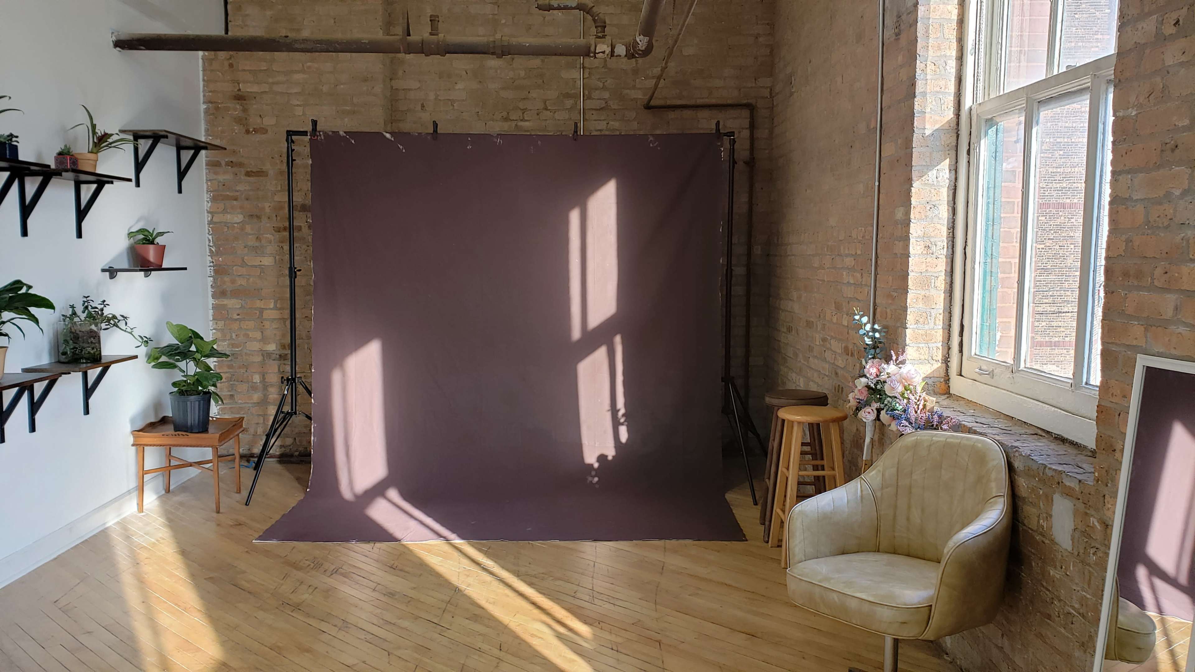 A spacious room features a brown backdrop, wooden flooring, a chair, and shelves with plants against a brick wall.