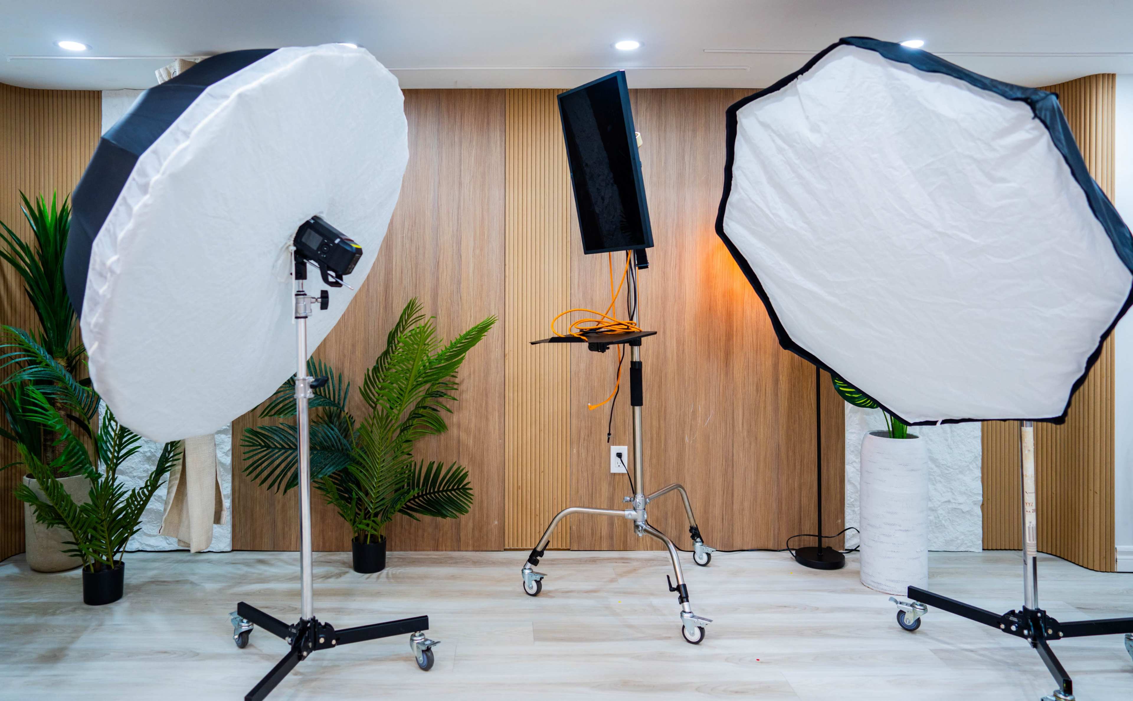 The image shows a photography setup with two large softboxes on stands and a backdrop support system placed against a wooden wall, surrounded by indoor plants.