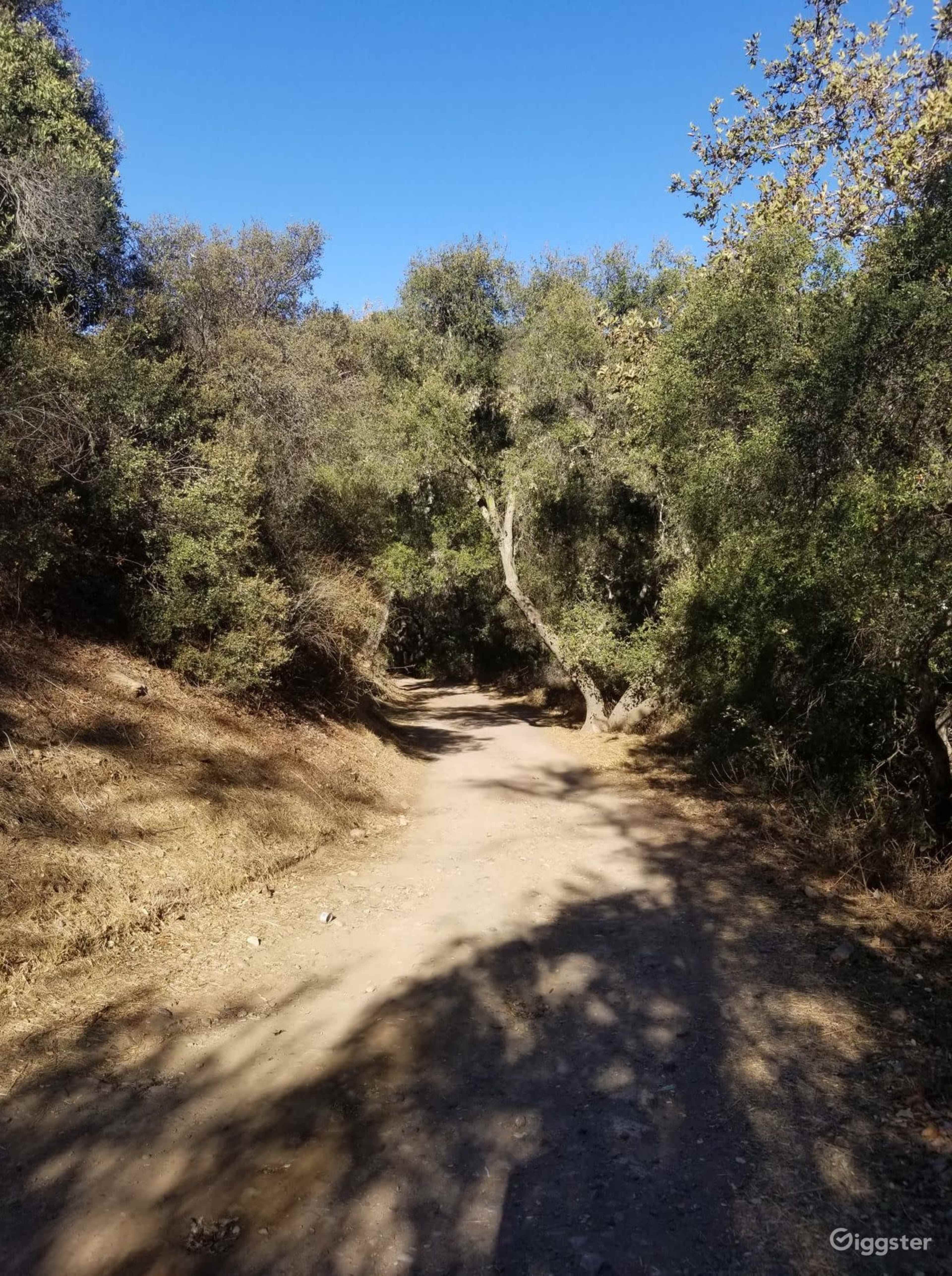 A dirt path winds through a tree-lined area under a blue sky.
