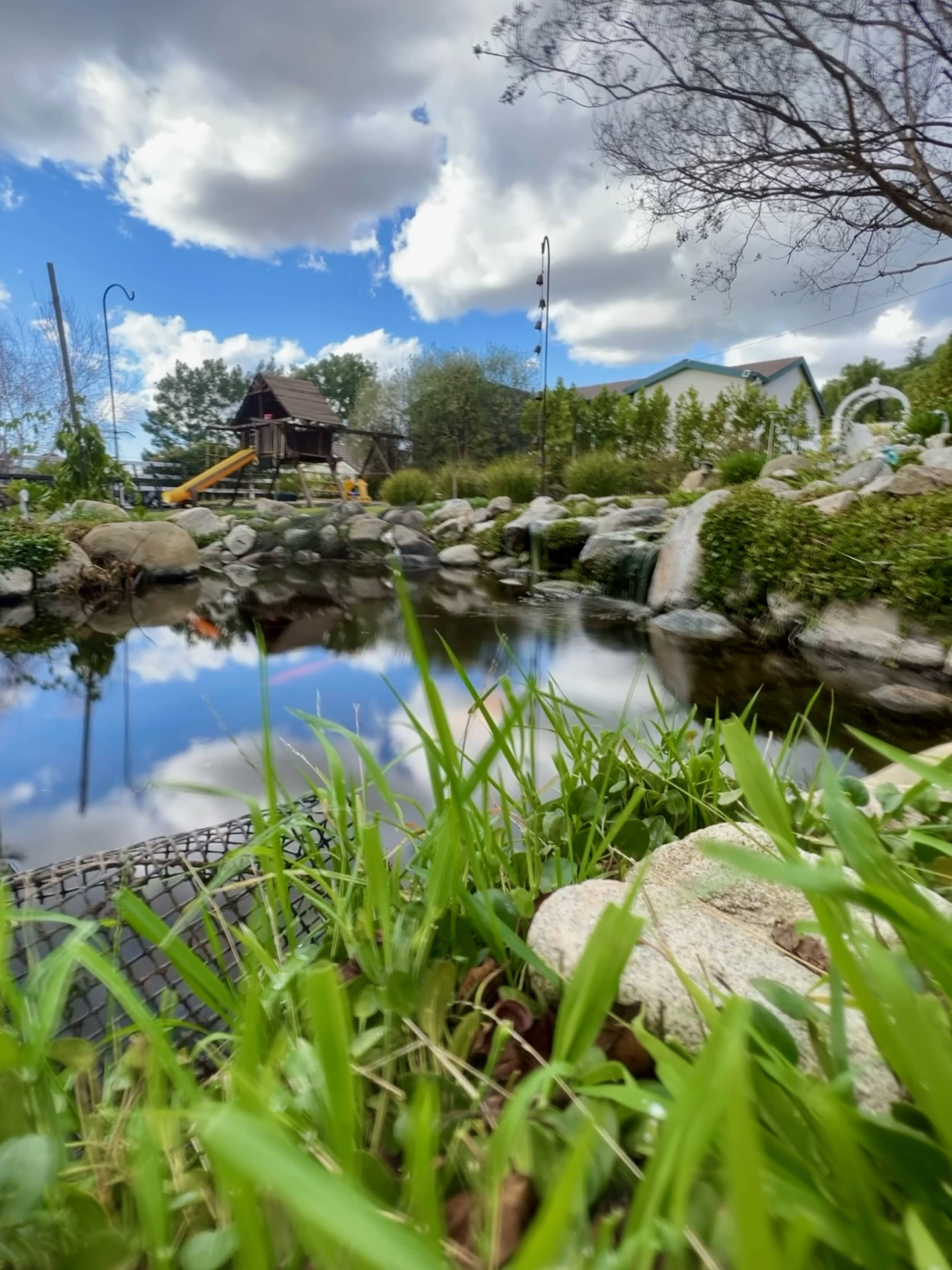The image shows a serene pond surrounded by rocks and grass, with trees and play equipment visible in the background under a partly cloudy sky.