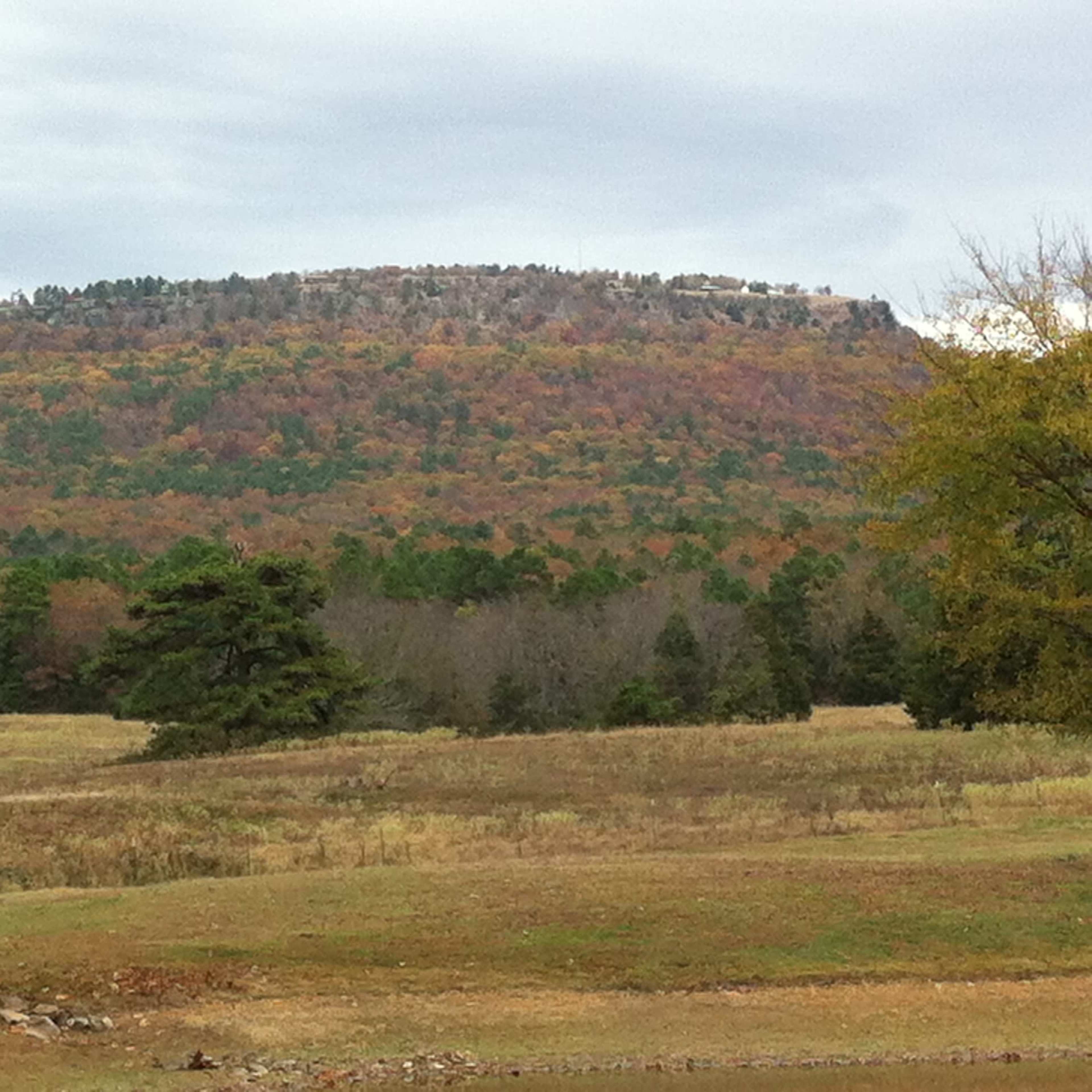 A steep, rocky hill is covered with trees displaying autumn colors, overlooking a grassy field and a wooded area below.