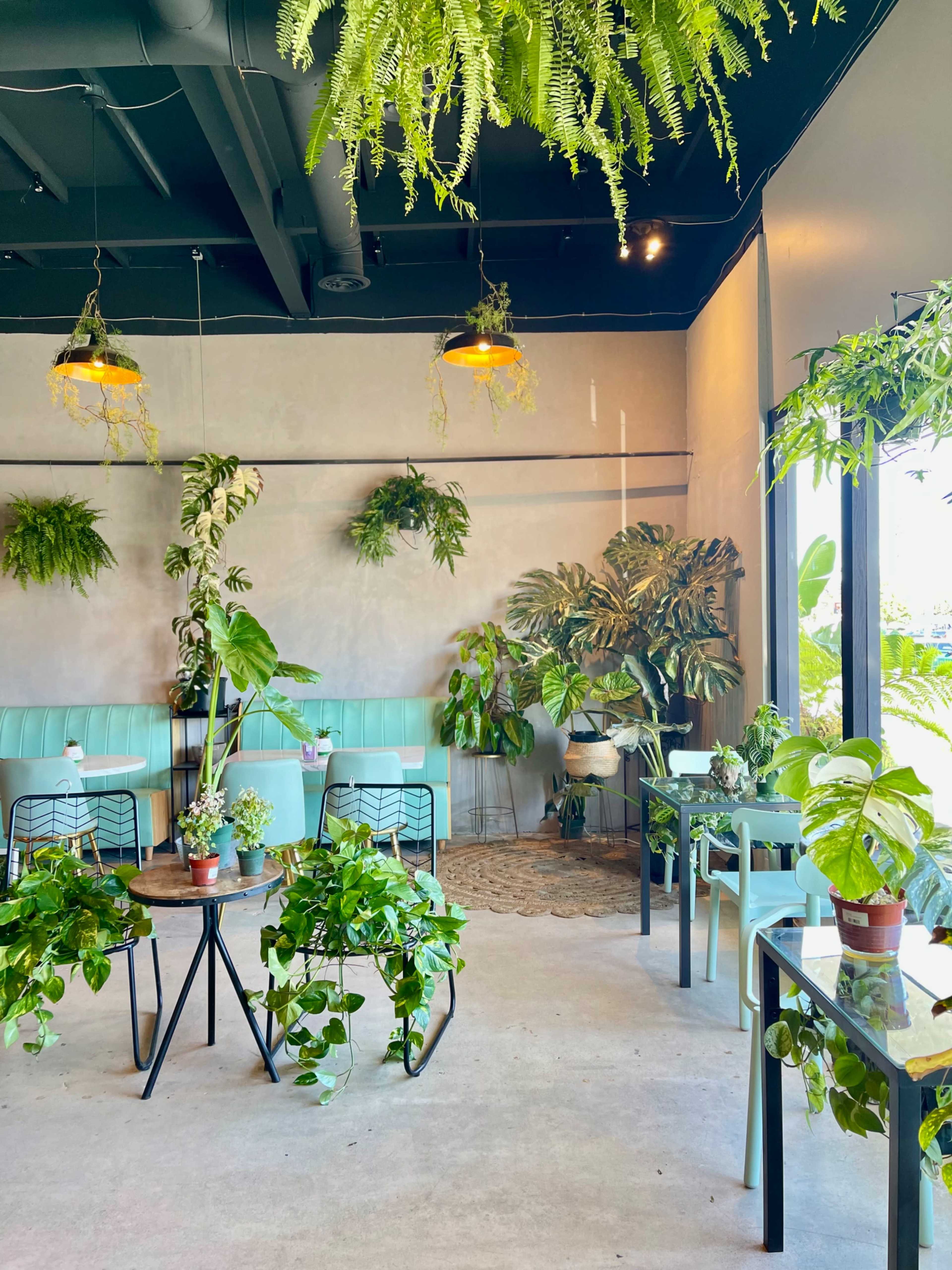 A stylish indoor café with plants hanging from the ceiling and arranged on tables, creating a vibrant green atmosphere.