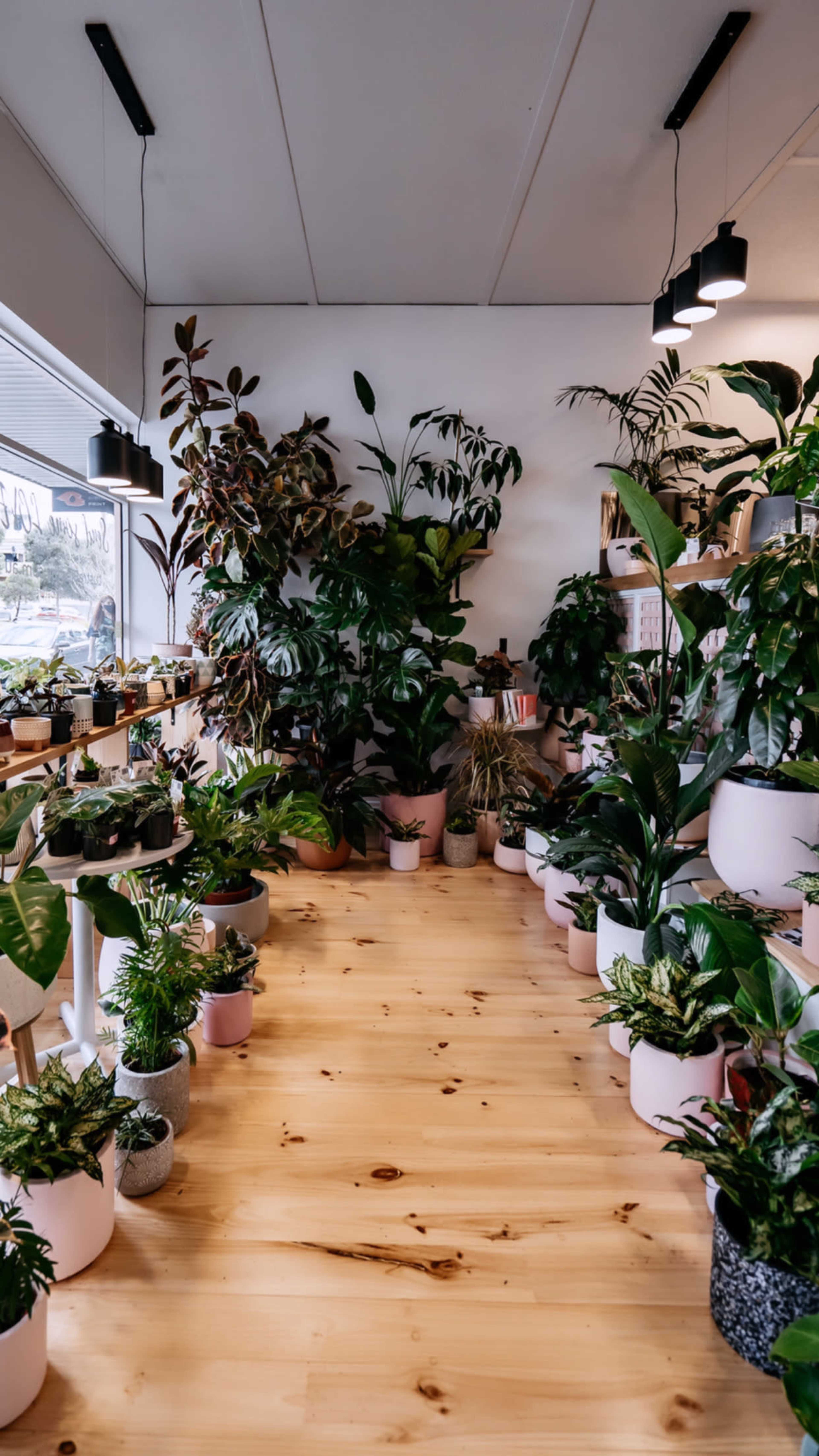 A cozy indoor plant shop features a variety of greenery arranged in pots along the walls and floor, with natural light coming from large windows.