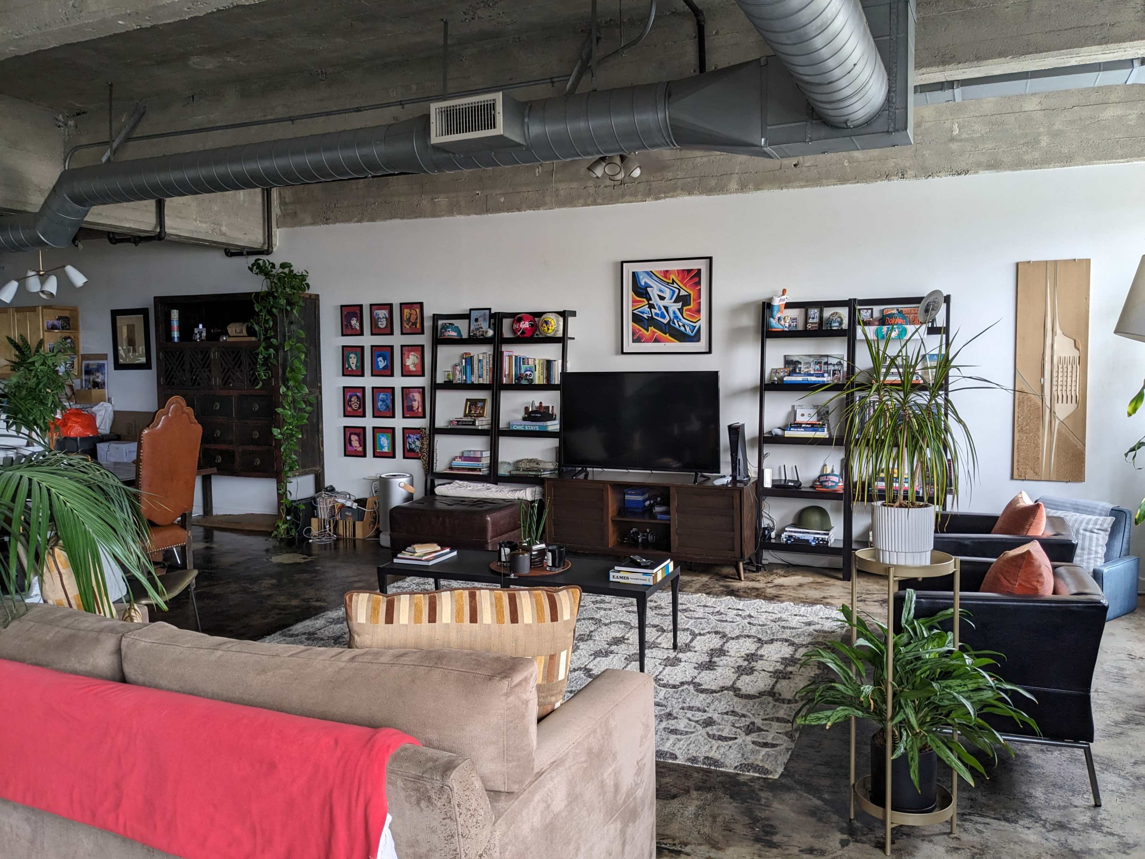 A spacious living room with a TV, bookshelves filled with various items, and plants, featuring a mix of comfortable seating and decorative elements.