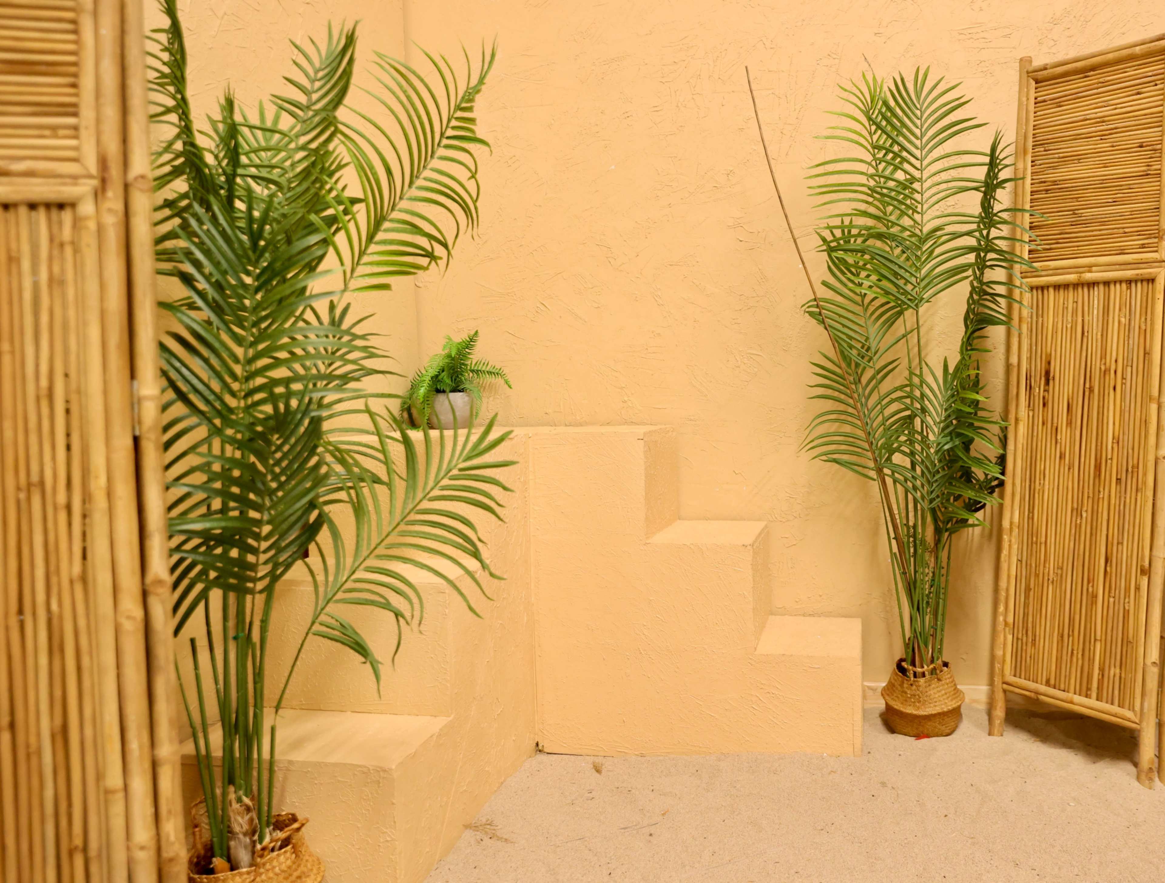 The scene features a corner of a room with sandy-colored walls, two tall potted plants, and steps leading to a higher platform.