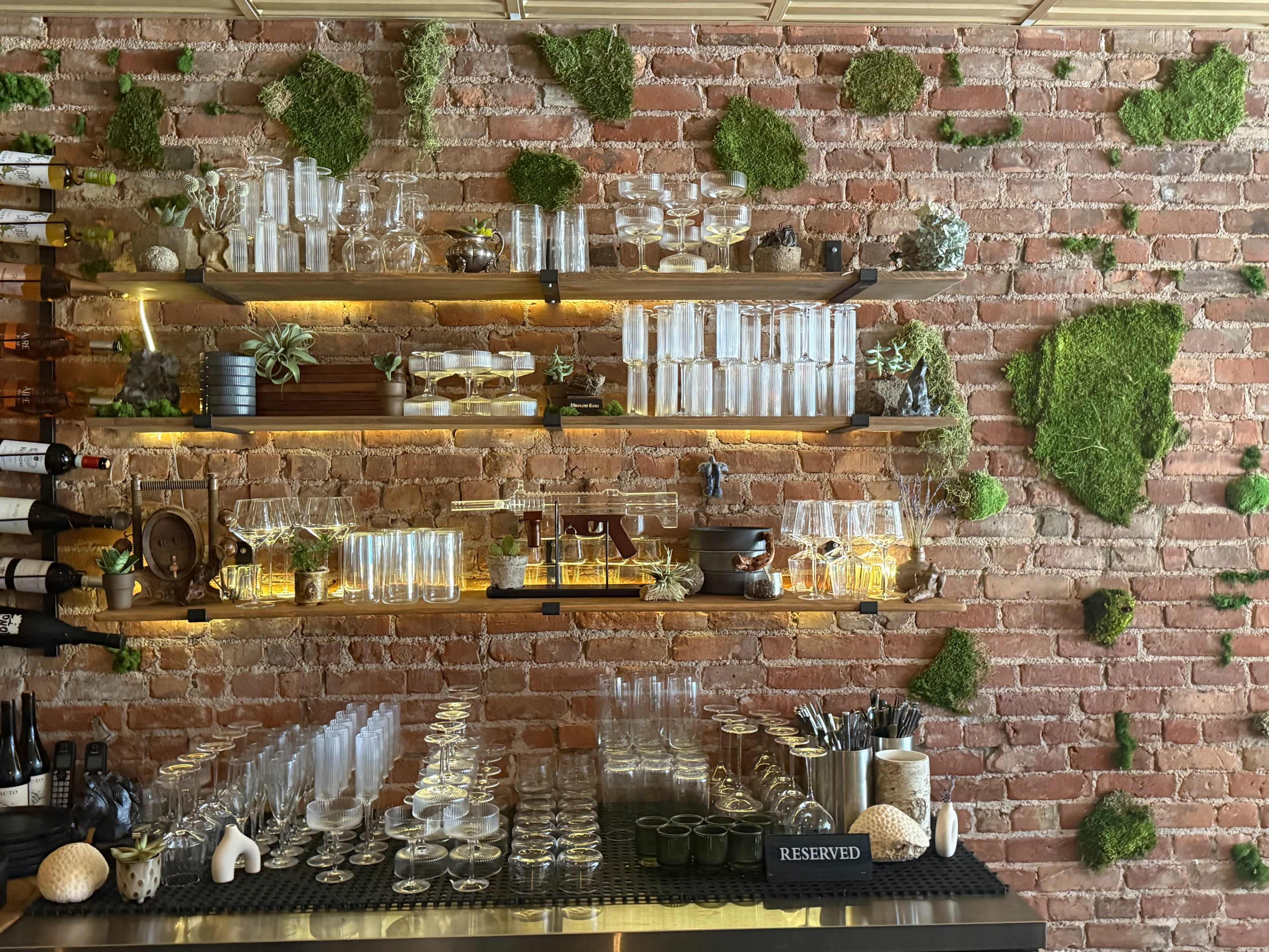 The image shows a bar area featuring shelves of glasses and bottles, with a brick wall adorned with patches of green moss and small plants.