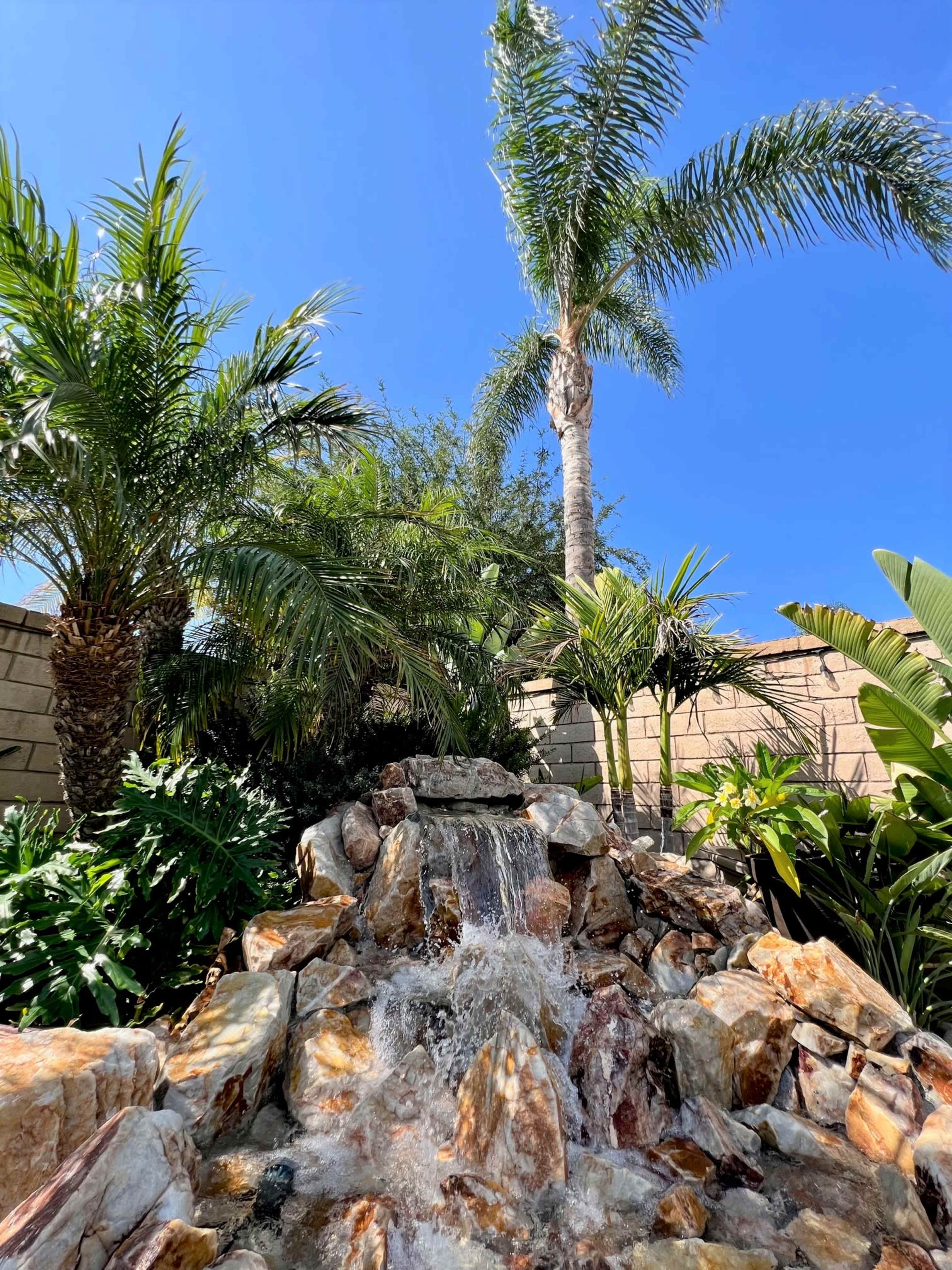 A waterfall cascades over rocks surrounded by lush green plants and palm trees under a clear blue sky.