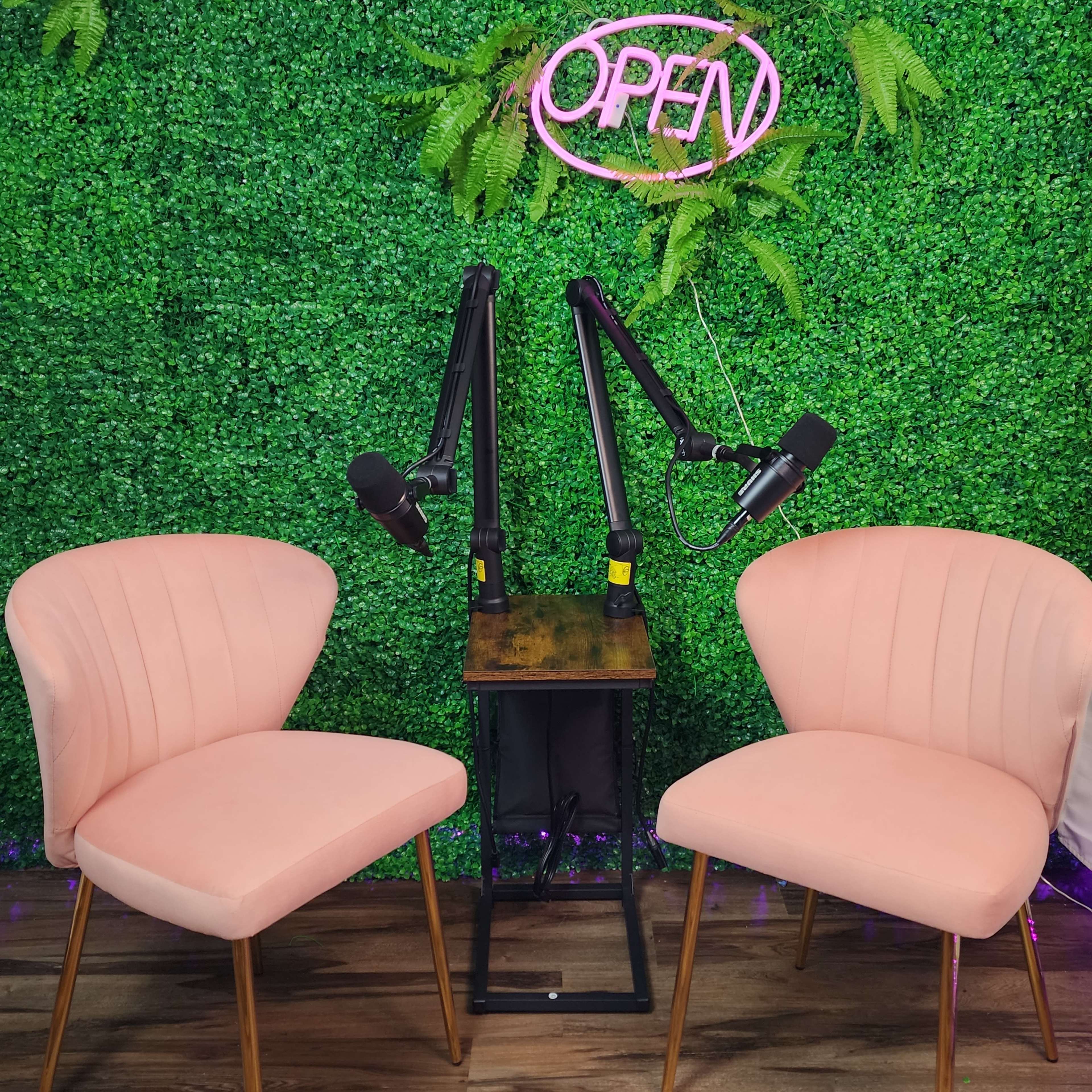 Two pink chairs are positioned on either side of a small wooden table with two attached microphones in front of a green foliage backdrop featuring a neon "OPEN" sign.