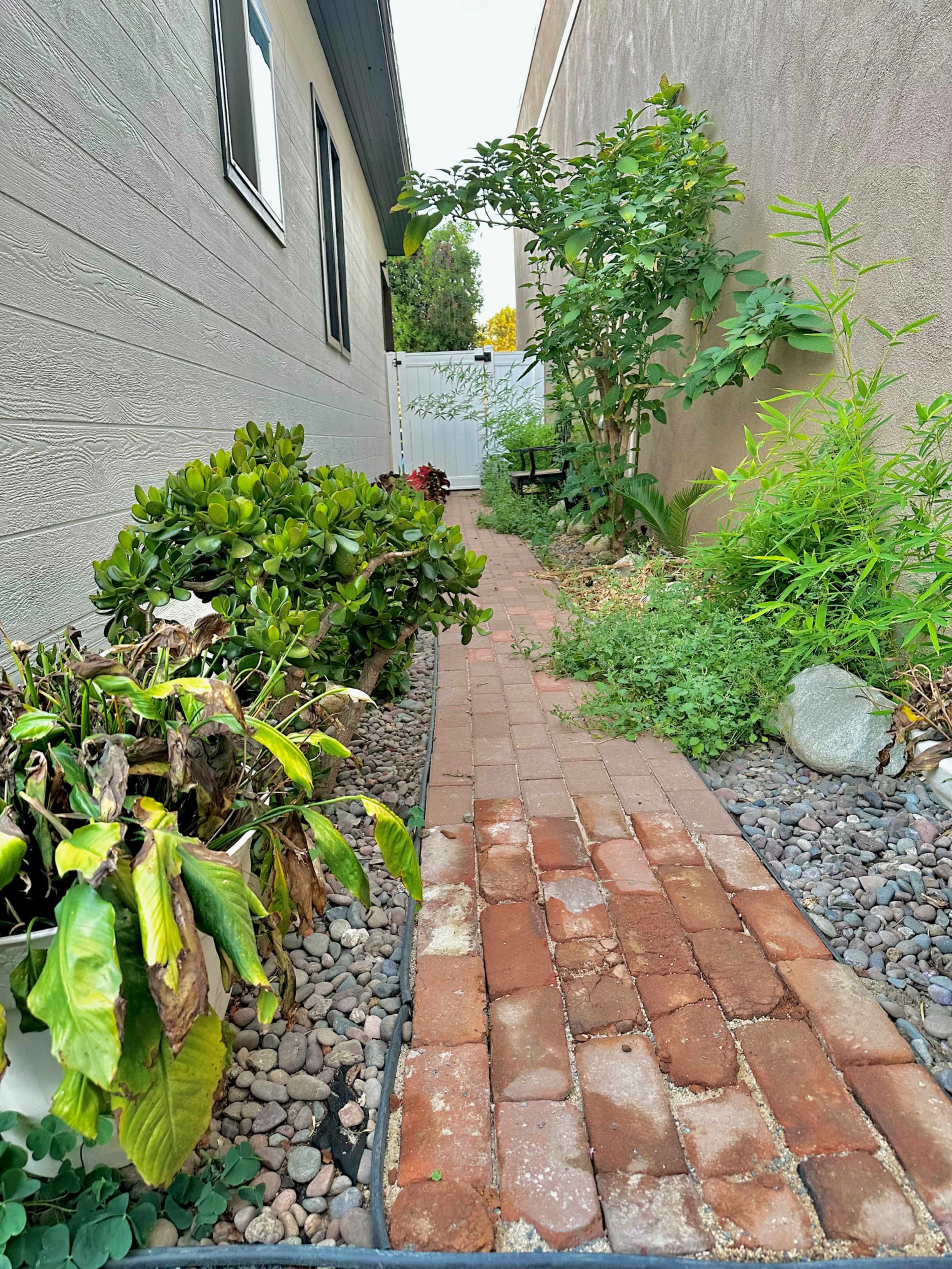 Downtown Glamping Escape With Modern Housing Option Image in Downtown Redlands, Redlands, CA