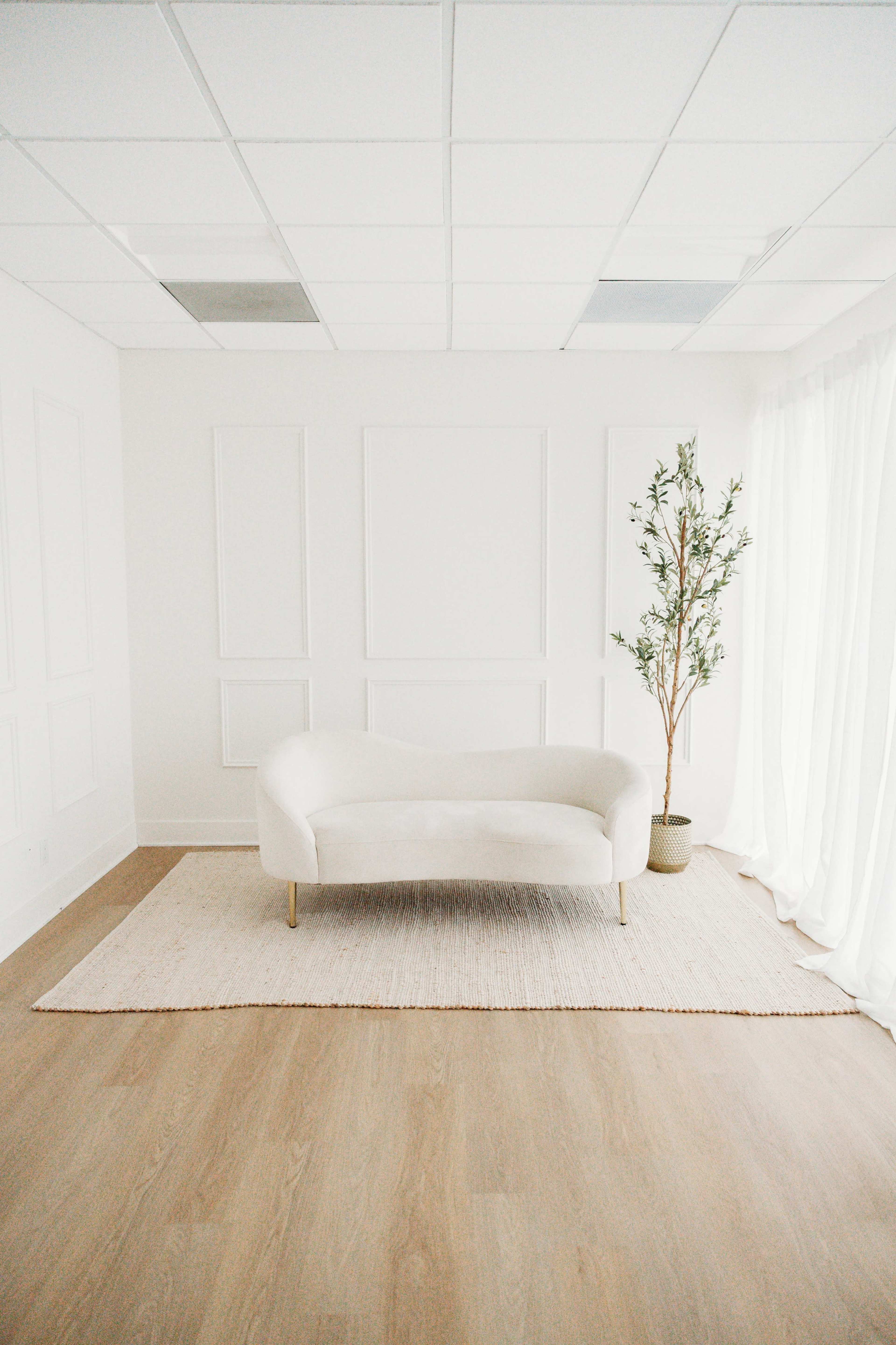 A light-colored sofa is positioned on a rug in a bright, minimalistic room with white walls and a decorative plant in the corner.