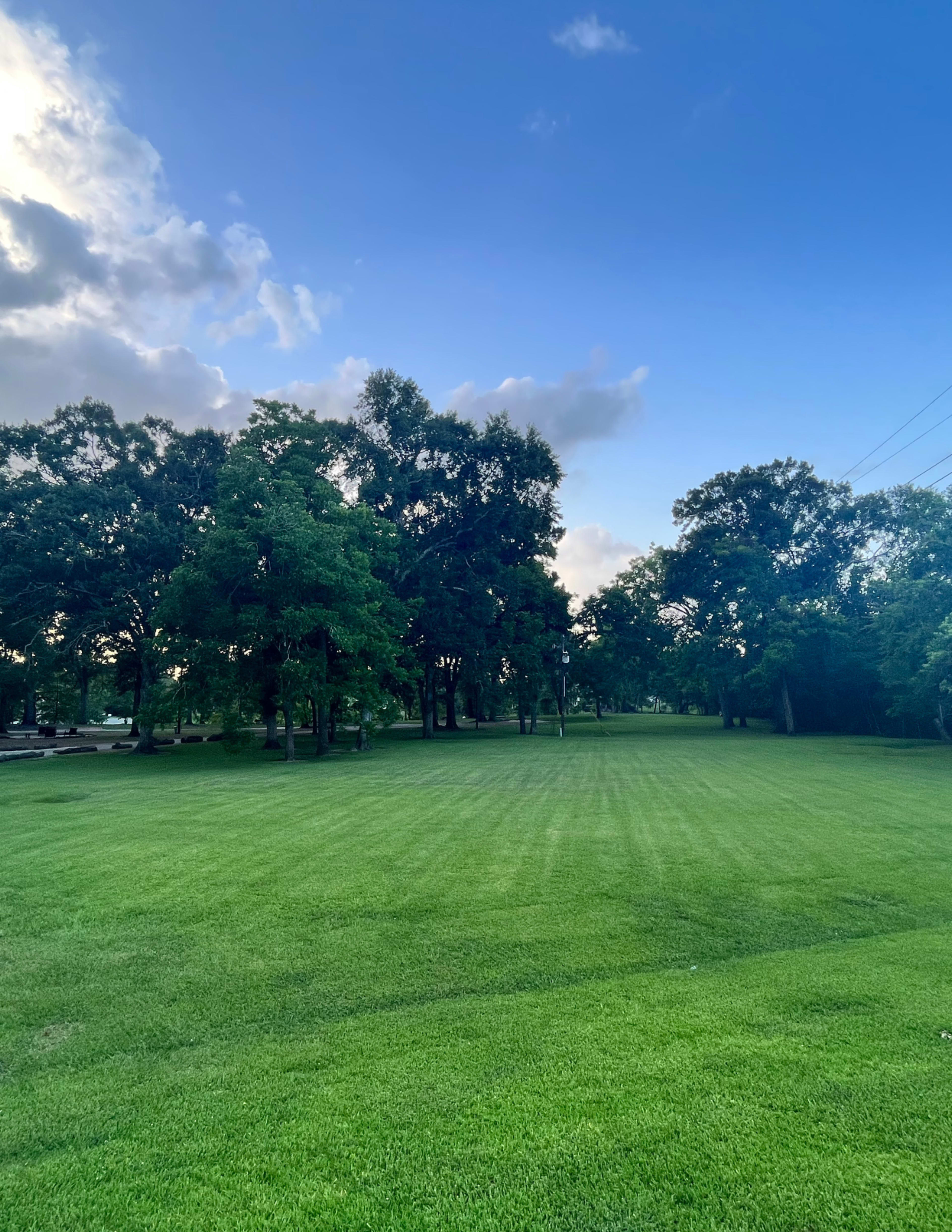A green grassy field surrounded by trees under a partly cloudy sky.